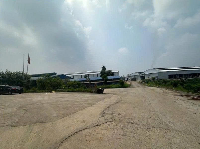 Hop tac xa san xuat giay Phu Ninh bi xu phat 320 trieu. 4565