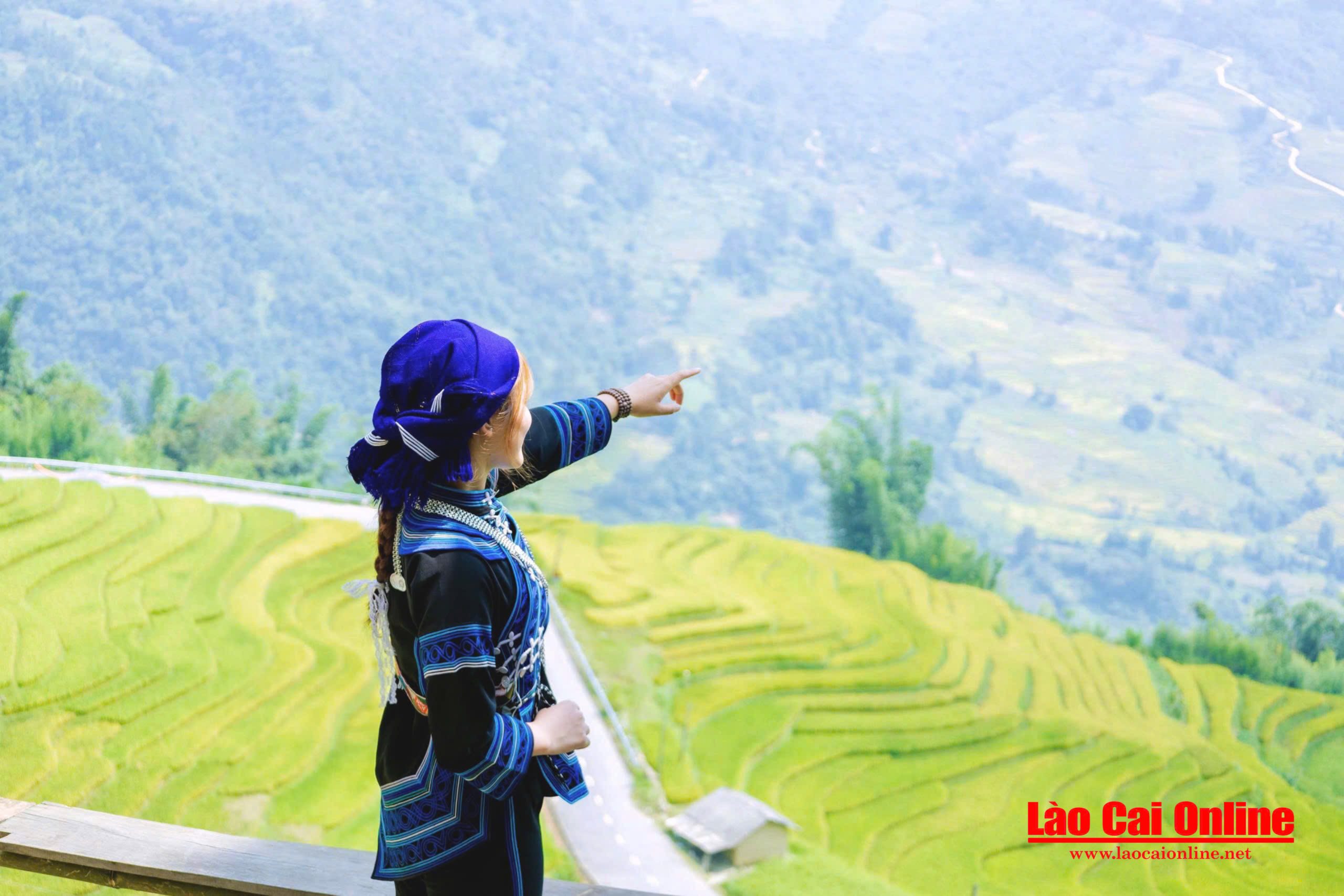 Vẻ đẹp bình yên mùa vàng trên ruộng bậc thang Y Tý 3 Những bức ảnh check in tuyệt đẹp giữa mùa lúa vàng Y Tý của bạn Ly Cà Xơ