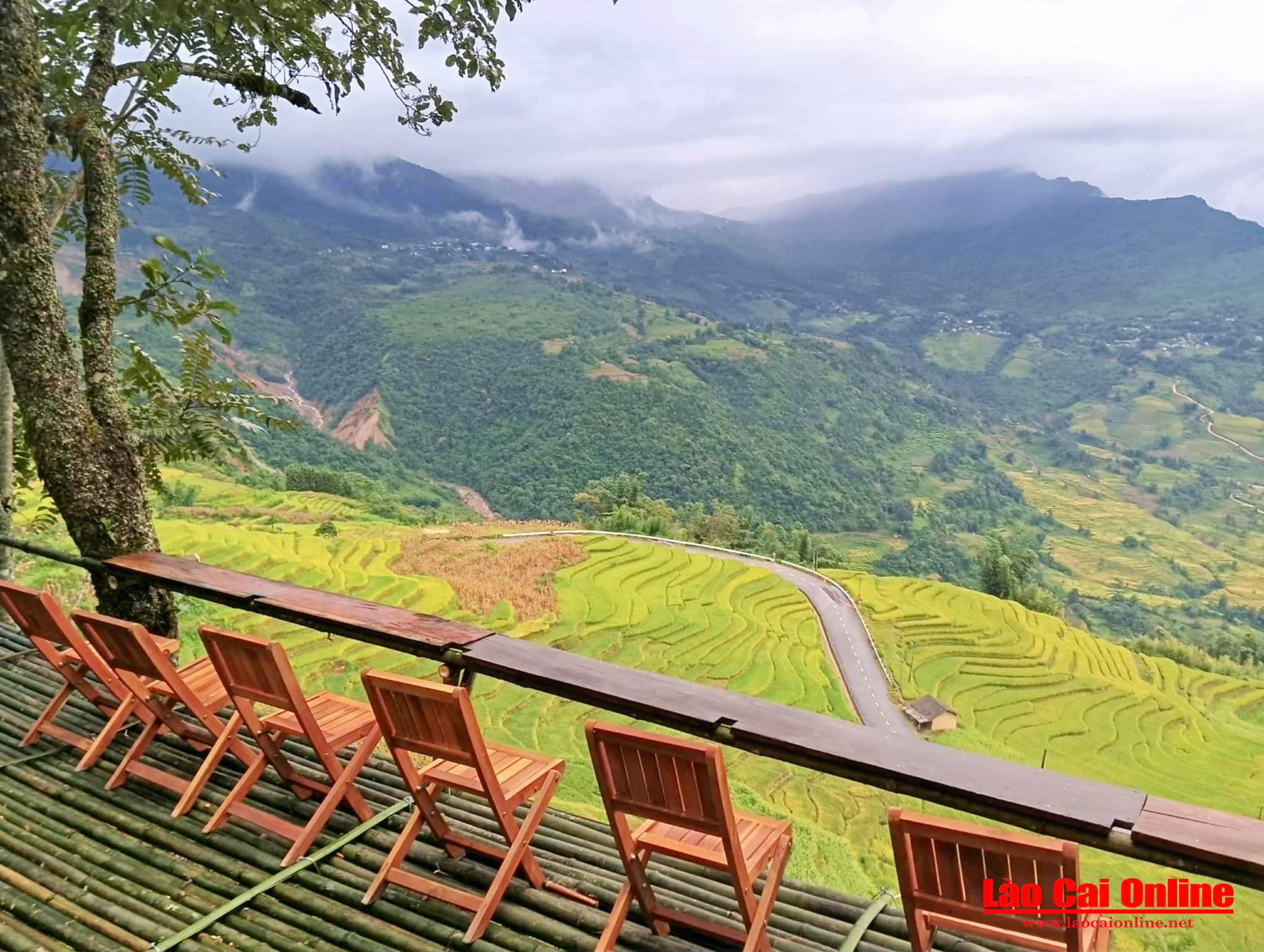 Vẻ đẹp bình yên mùa vàng trên ruộng bậc thang Y Tý 1 Ở độ cao khoảng 2.000m so với mực nước biển, Y Tý quanh năm chìm trong màn sương mờ ảo. Vào mùa lúa chín, sắc vàng rực rỡ của những thửa ruộng bậc thang trải dài khiến núi rừng và bản làng như thay áo mới, bừng sáng và cuốn hút đến lạ thường.
