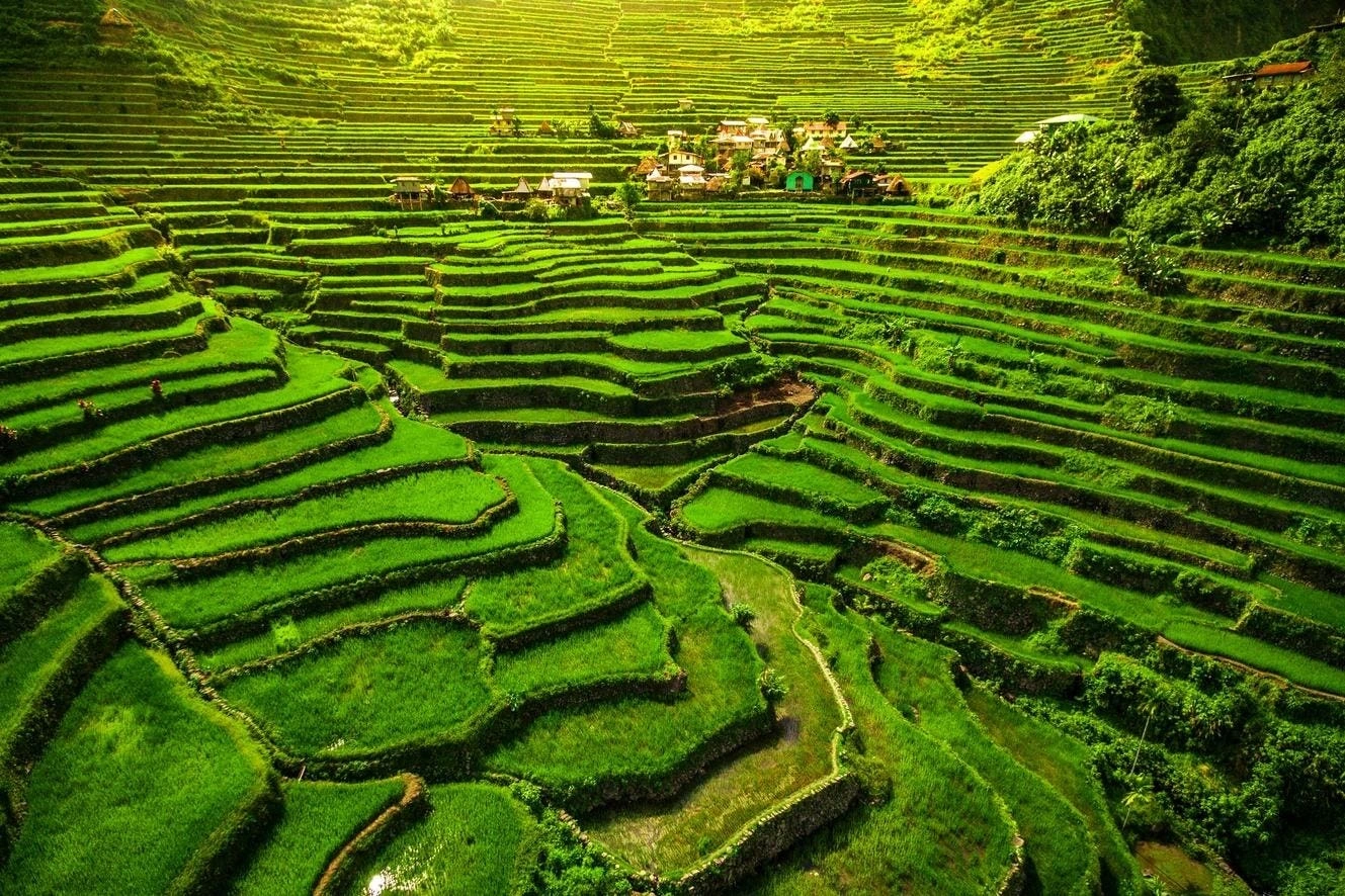 Mở rộng như một đấu trường xanh mướt, các thửa ruộng bậc thang 2.000 năm tuổi của Batad vươn lên đối xứng hoàn hảo, được khắc sâu vào những nếp gấp dốc đứng của dãy núi Cordillera. Lối đi lát đá uốn lượn qua các túp lều Ifugao đan thủ công, nơi cụ già đội mũ lông chim giã gạo và ngân nga bài thánh ca