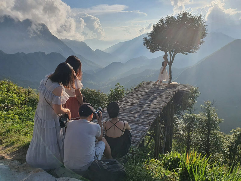 Cây cô đơn là một thân cây mọc thẳng đứng giữa lưng chừng núi (Nguồn: Báo Thanh niên)