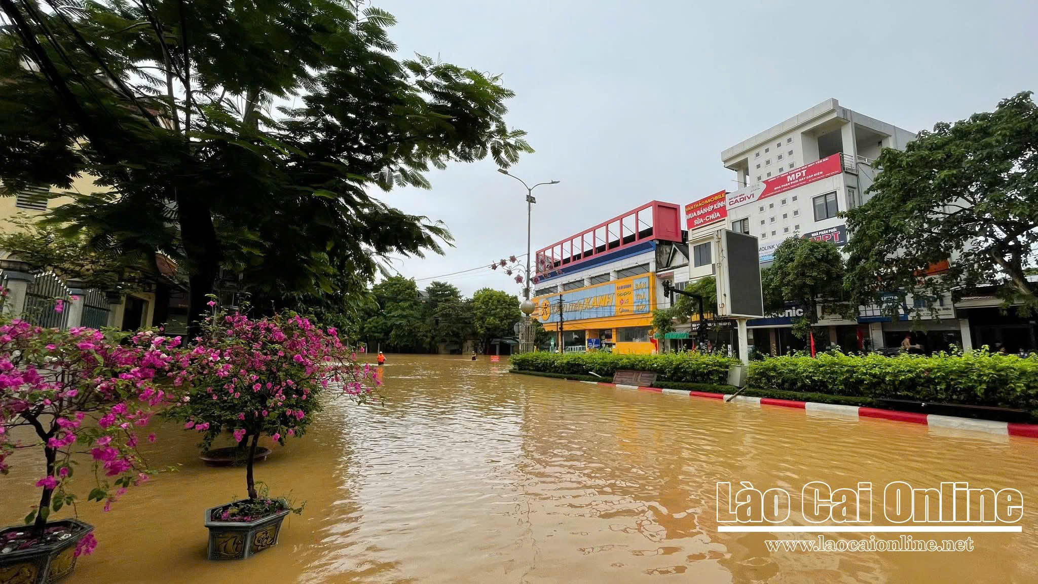 Nhiều khu vực tại Lào Cai ngập sâu sau mưa lớn, nguy cơ lũ ống và sạt lở đất rình rập 20 z7065546976750 f46ab92c2ba81ad266bcf13ef8a90ac8