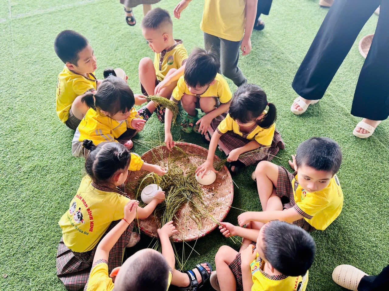 Trường Mầm non Bình Minh cho trẻ trải nghiệm “Hương cốm Hợp Thành”: Học từ hạt ngọc mùa thu 2 560574958 122139326756925719 4196666975004619383 n