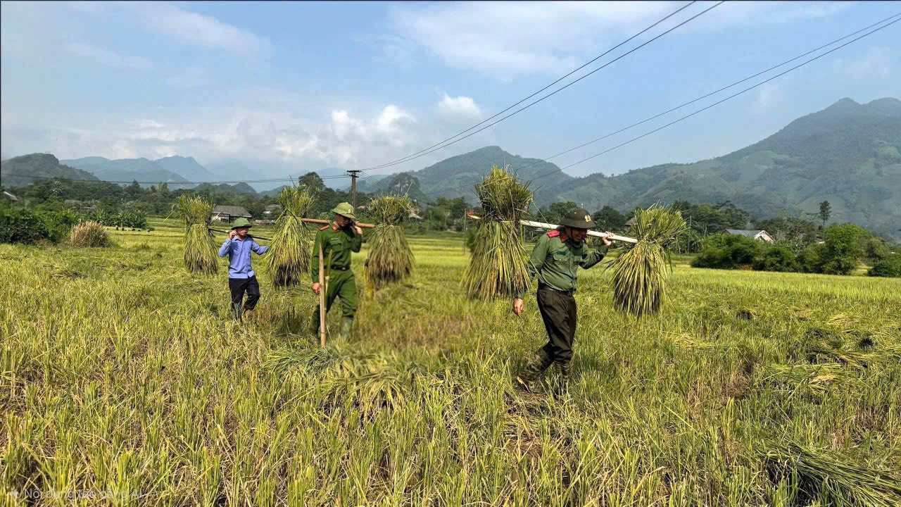 Văn Bàn: Giọt nghĩa tình gửi mẹ nạn nhân vụ sạt lở xe bán tải 8 566211812 790621437137900 8258868738321665231 n