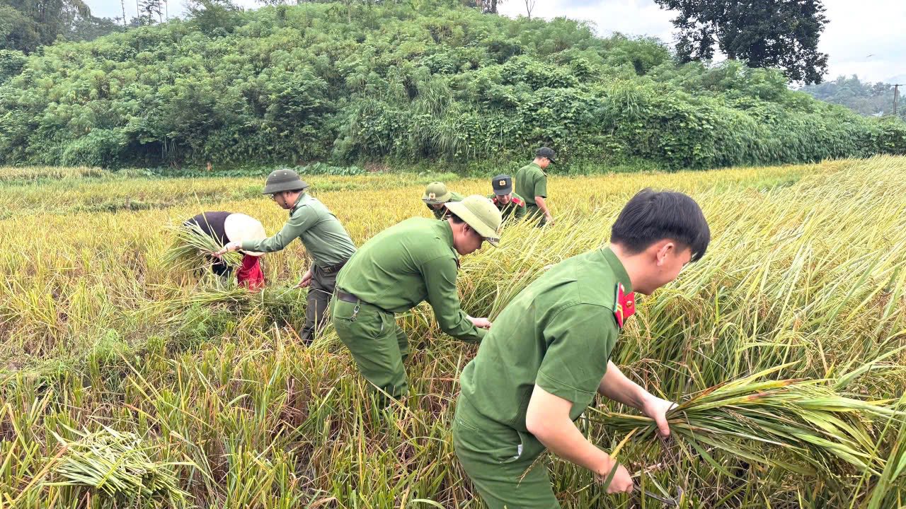 Văn Bàn: Giọt nghĩa tình gửi mẹ nạn nhân vụ sạt lở xe bán tải 1 568143460 790621450471232 7121603478735816387 n