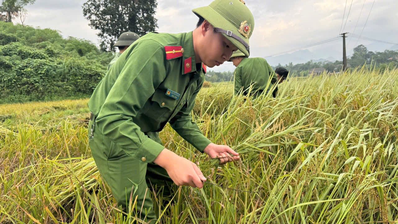 Văn Bàn: Giọt nghĩa tình gửi mẹ nạn nhân vụ sạt lở xe bán tải 6 568276962 790621117137932 6238582836739478507 n