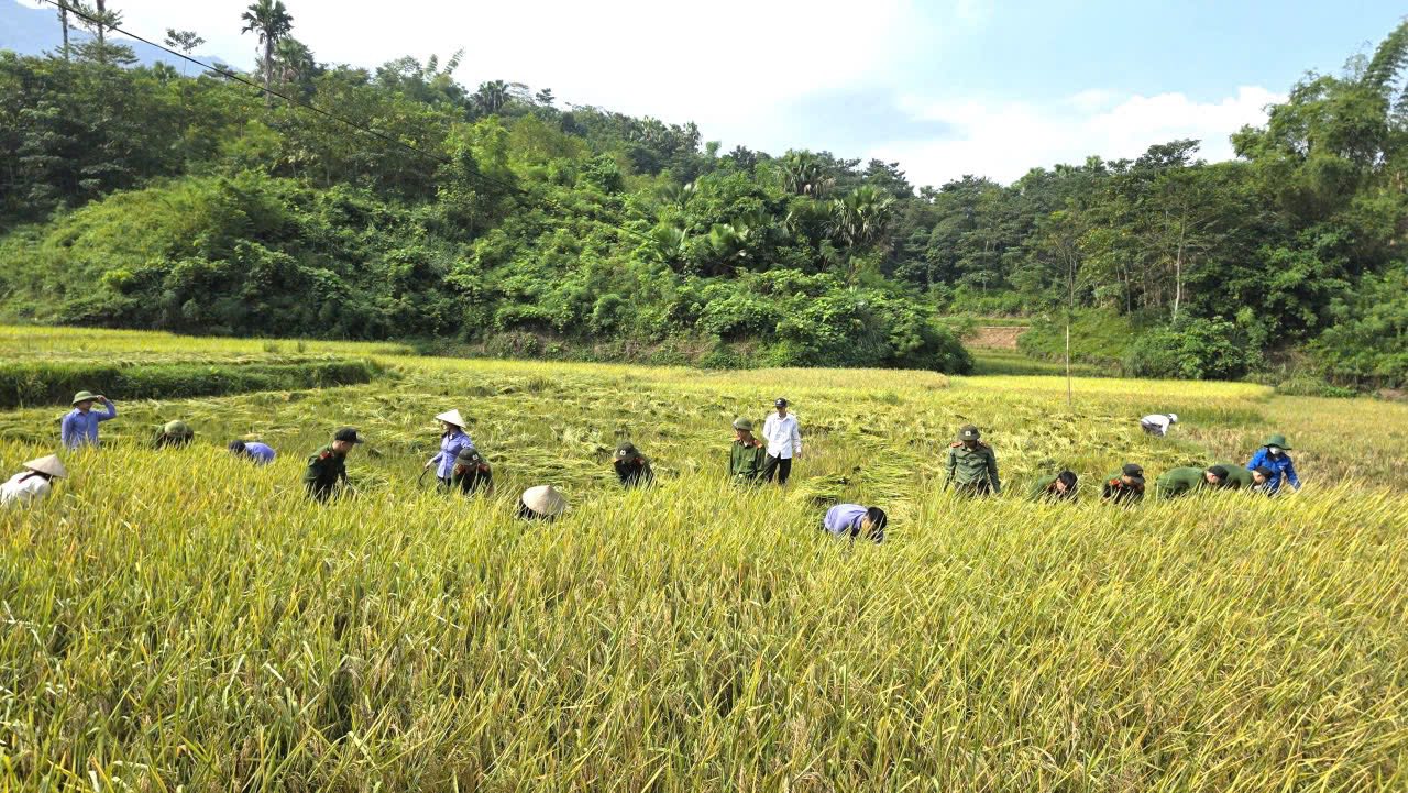 Văn Bàn: Giọt nghĩa tình gửi mẹ nạn nhân vụ sạt lở xe bán tải 4 568822957 790621460471231 6151334329086795531 n