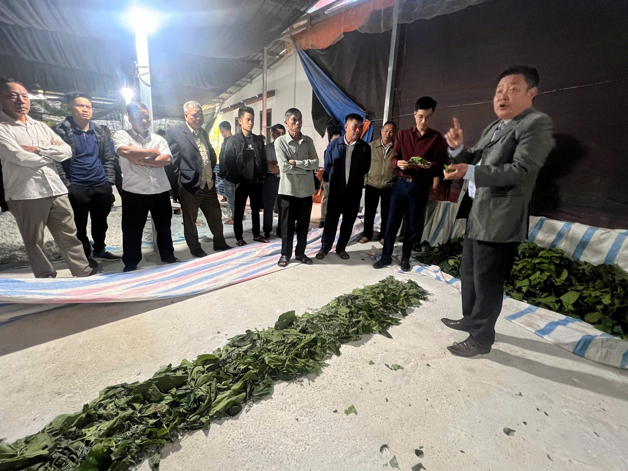 Văn Chấn học tập mô hình trồng dâu nuôi tằm tại Lào Cai: Gợi mở hướng đi mới cho giảm nghèo bền vững 5 571226241 122138347358928144 7655886138616278911 n