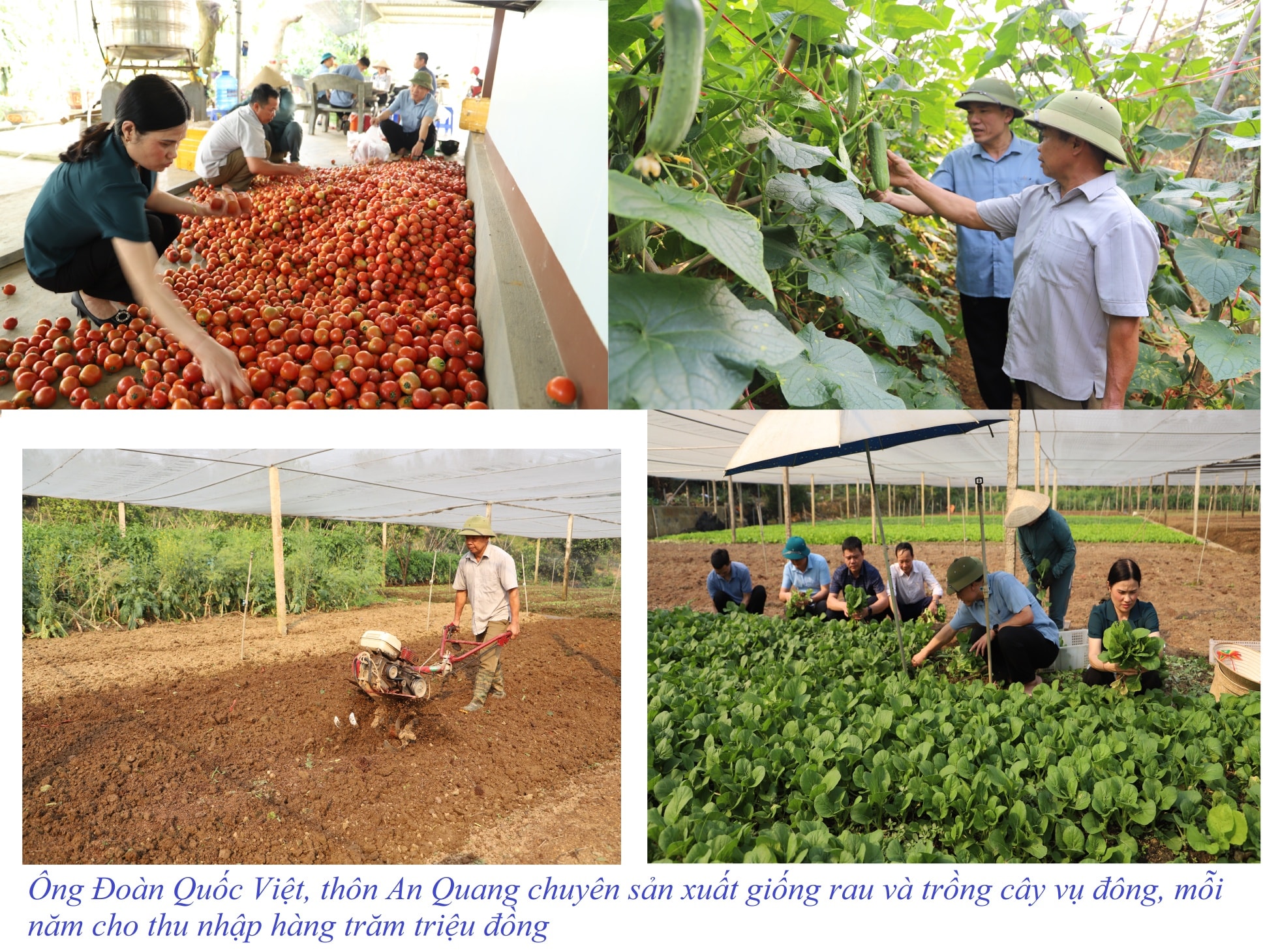 Thi đua yêu nước ở Bát Xát – Sức mạnh cộng đồng, khát vọng vươn lên 4 571263879 754758297622980 4295941689401552241 n