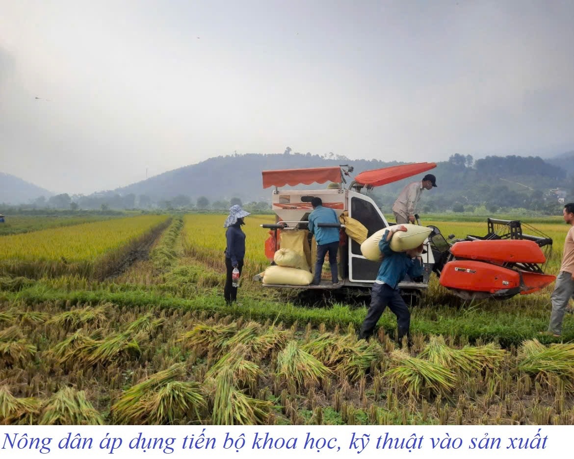 Thi đua yêu nước ở Bát Xát – Sức mạnh cộng đồng, khát vọng vươn lên 5 571783197 754758027623007 1827129360670049471 n