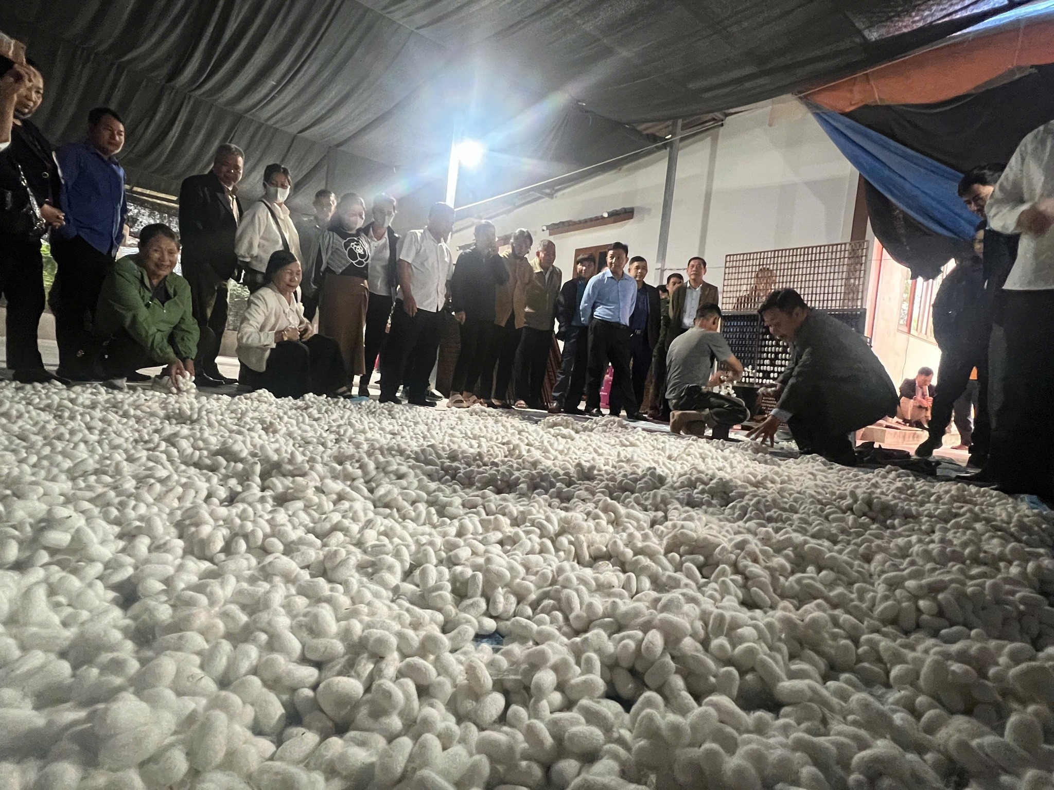 Văn Chấn học tập mô hình trồng dâu nuôi tằm tại Lào Cai: Gợi mở hướng đi mới cho giảm nghèo bền vững 4 572040625 122138347148928144 6975260612451803471 n