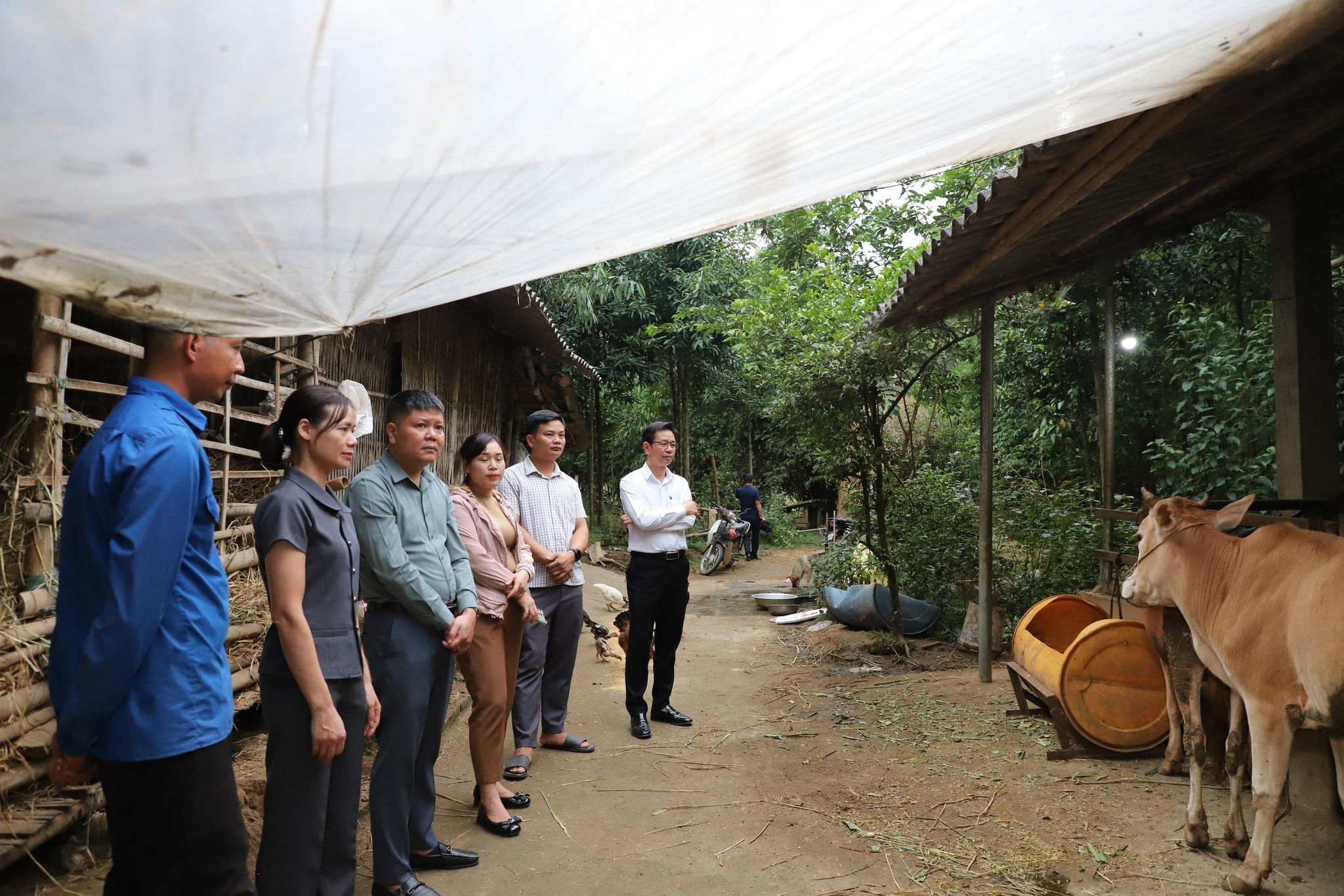 Tuổi trẻ Cầu Thia khẳng định bản lĩnh làm kinh tế, xây dựng quê hương giàu đẹp 5 573445574 770739012661445 348161369149640143 n