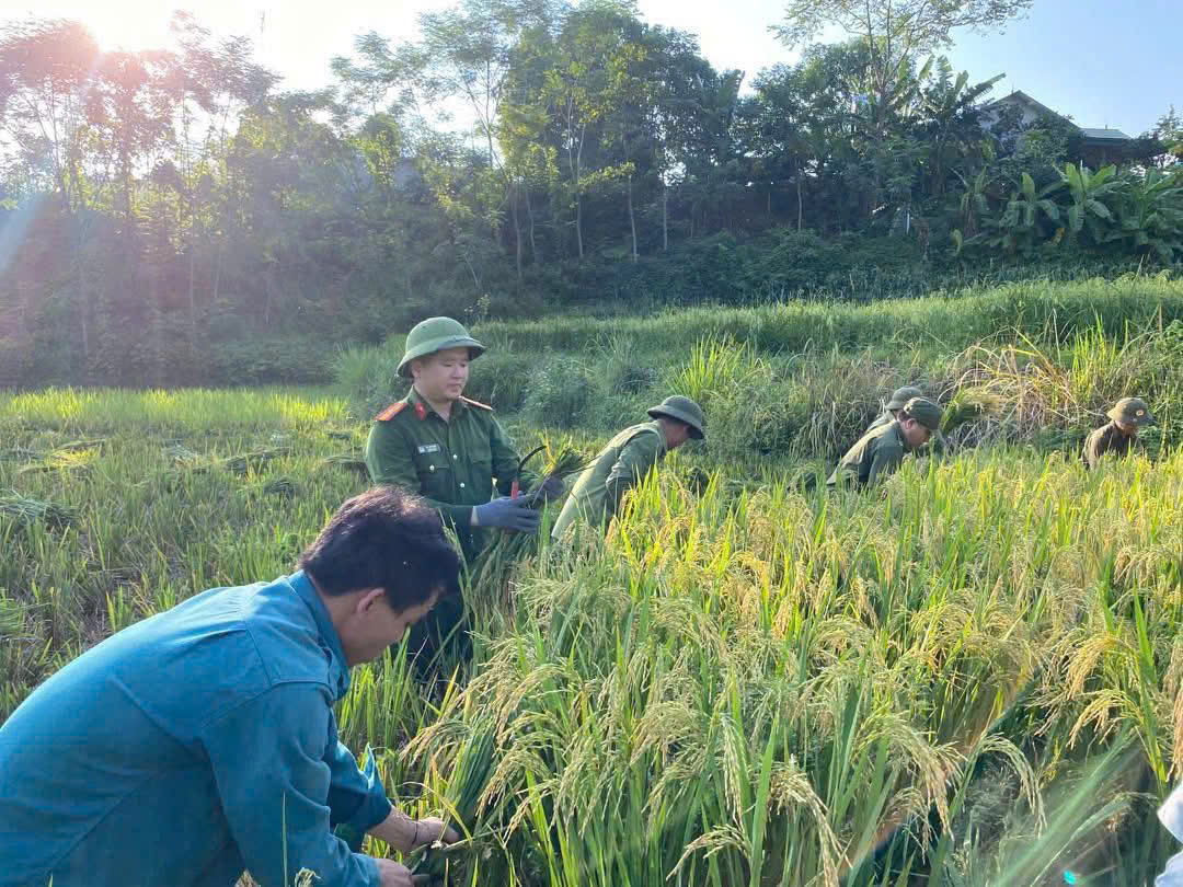 z7086051076282 74e74fb200918d1e52dd94f02e12eff6