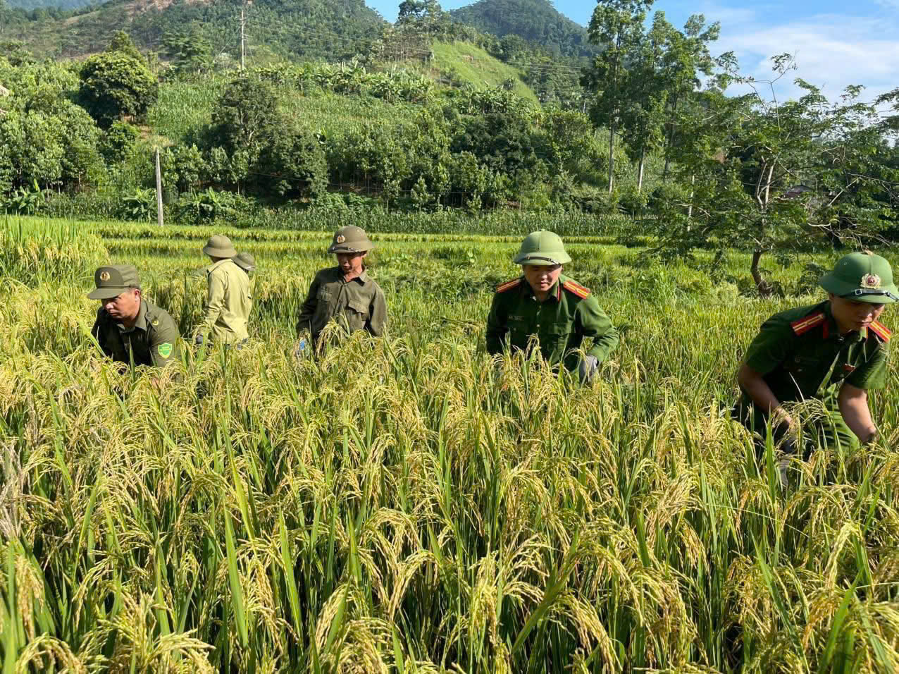 z7086051083696 554fe90a1e3c950300fd2fd6aed42d4f