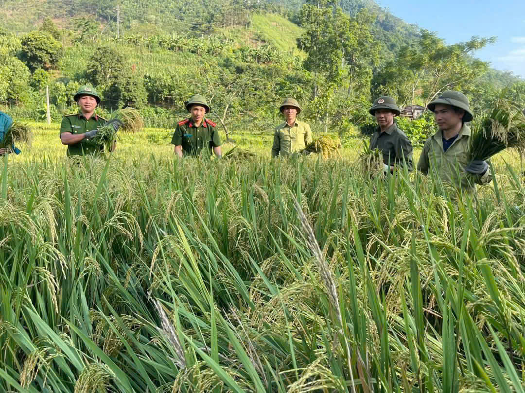 z7086051096531 1bbb46f3dc6e1ab35726d602550f2b63