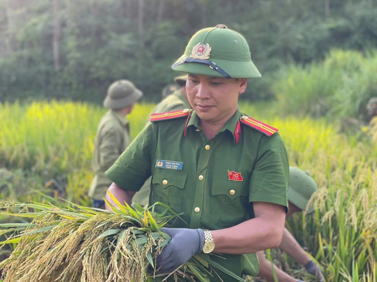 z7086051098435 eab59a62ea3456db20a19daa6a8c1db4