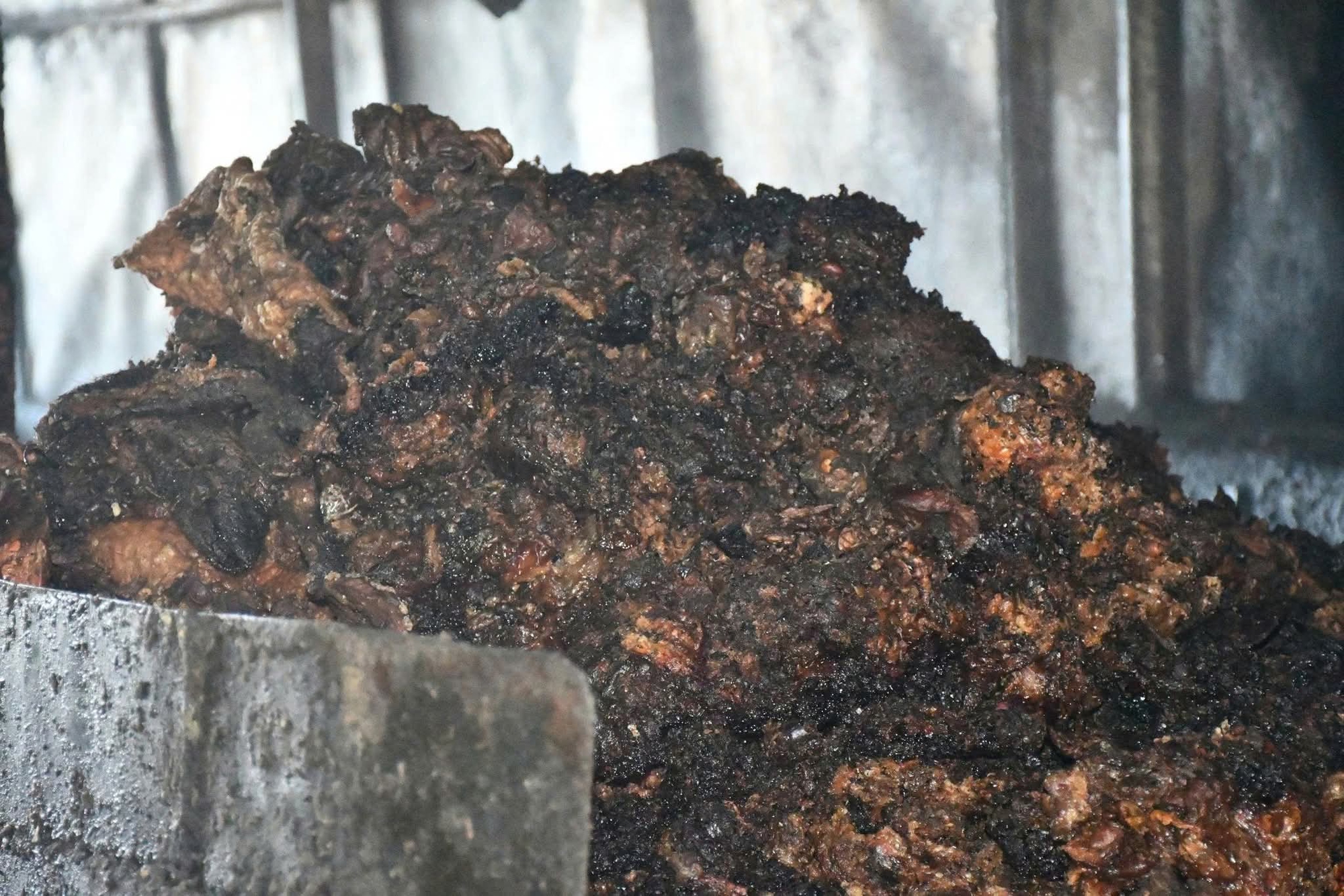 Đà Nẵng phát hiện cơ sở nấu mỡ động vật trái phép giữa nghĩa trang 5 1000015899 17631951560402066409713