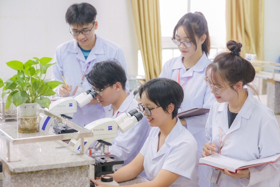 Kỳ vọng tạo sinh khí mới đào tạo tiến sĩ 1 Ảnh minh họa INT.