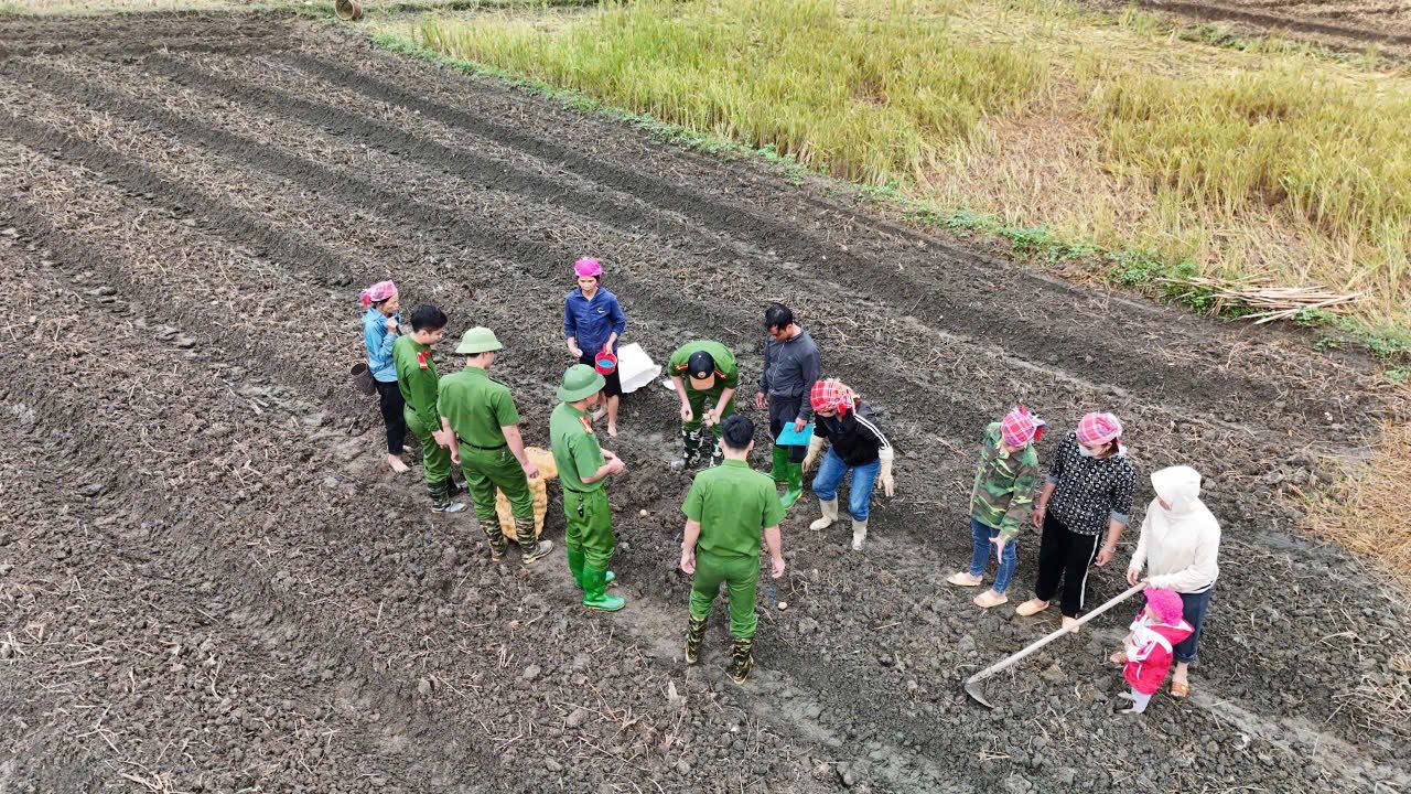Gieo mầm xanh, vun niềm tin - "Hồi sinh cánh đồng Làng Chút" 3 573872398 801423662724344 6959609529869656725 n