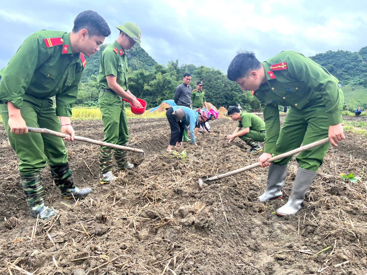 Gieo mầm xanh, vun niềm tin - "Hồi sinh cánh đồng Làng Chút" 8 574247225 801424186057625 4784057700787512788 n