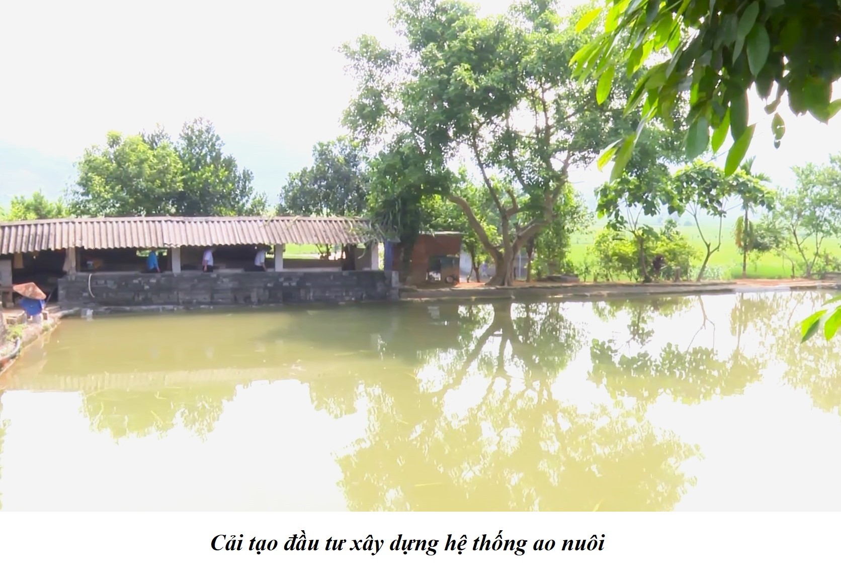 574338133 758836970548446 4035829468715817327 n