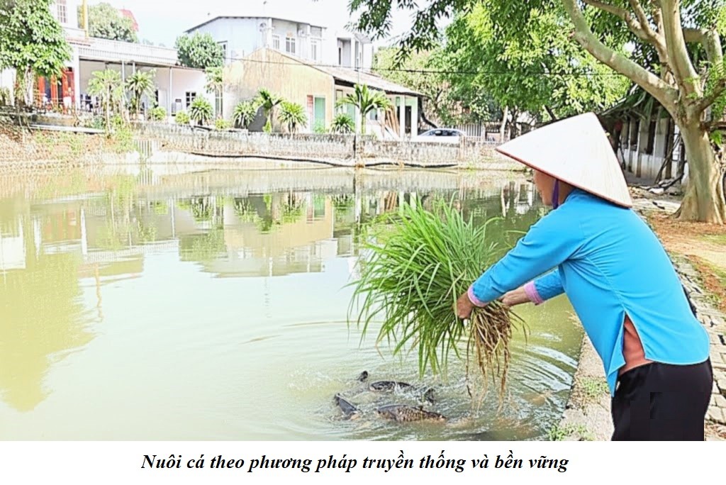 574575734 758836943881782 4083221089076975075 n