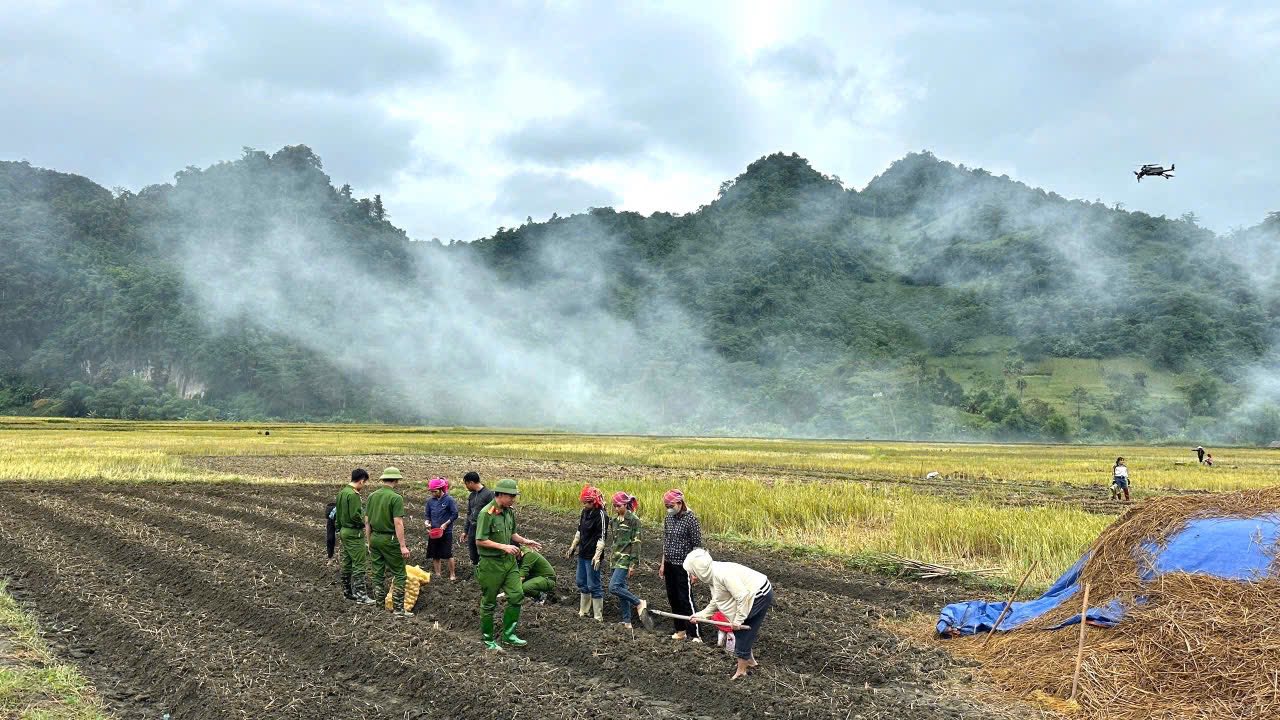 Gieo mầm xanh, vun niềm tin - "Hồi sinh cánh đồng Làng Chút" 2 574576619 801423679391009 1752109058004201715 n