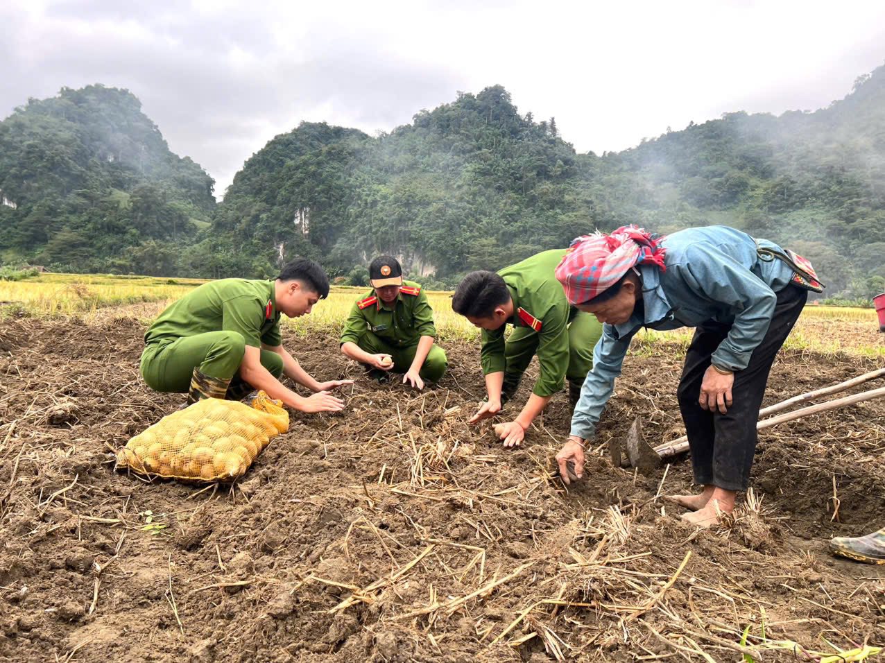 Gieo mầm xanh, vun niềm tin - "Hồi sinh cánh đồng Làng Chút" 7 574578379 801424216057622 1828827601881410025 n