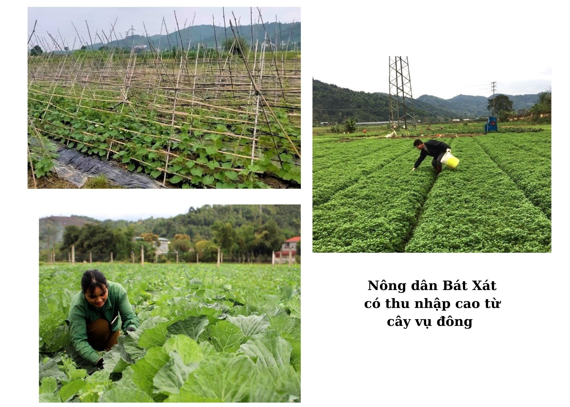 577584234 760887217010088 943816563102996623 n