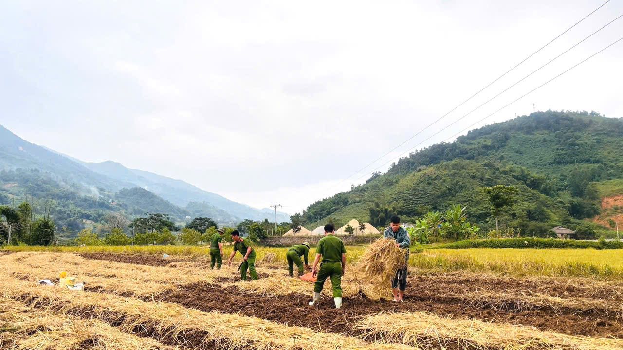 578768001 810739145126129 4011584251893567313 n