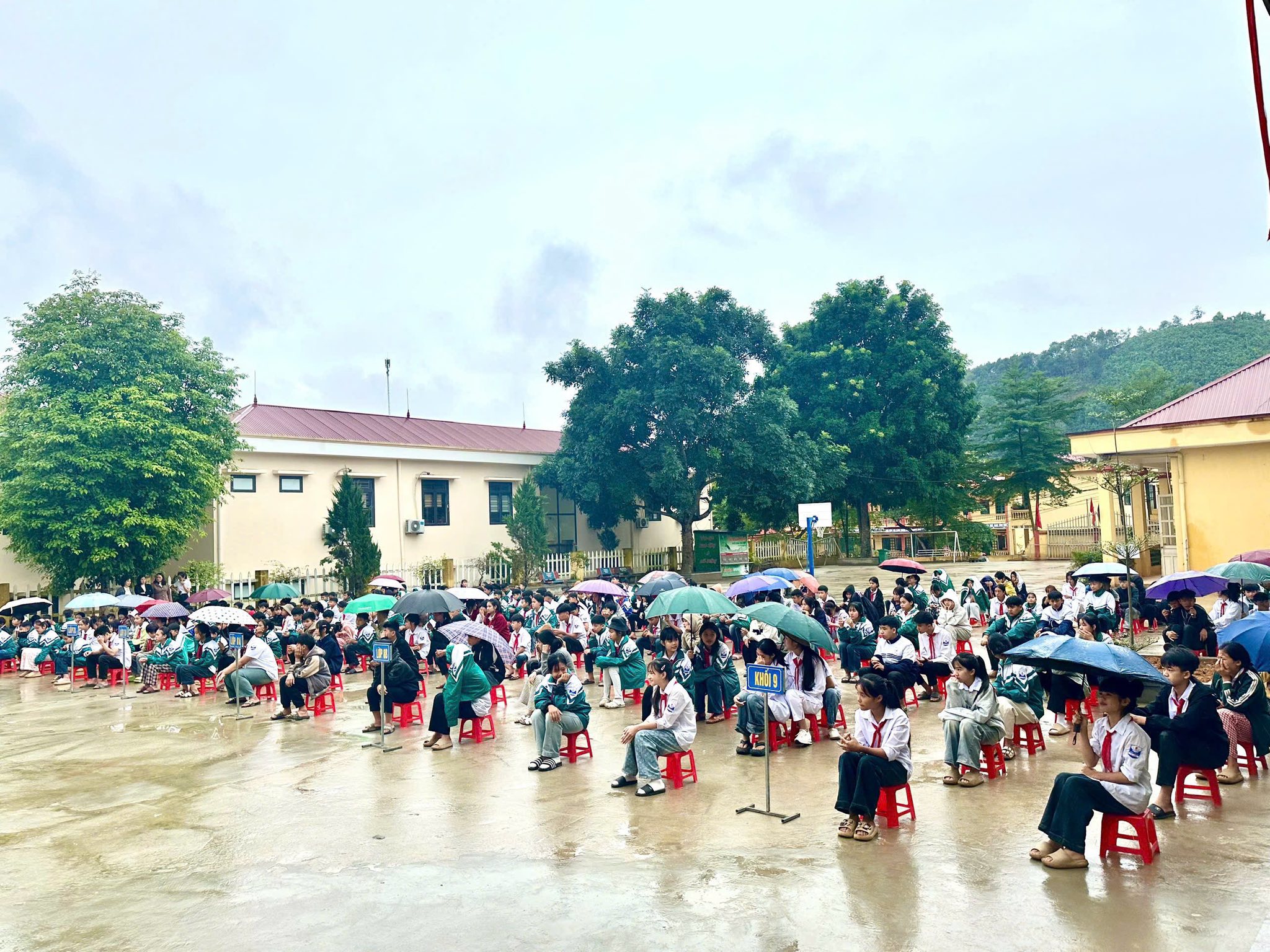 579162723 1228888249275766 5093404060608613845 n