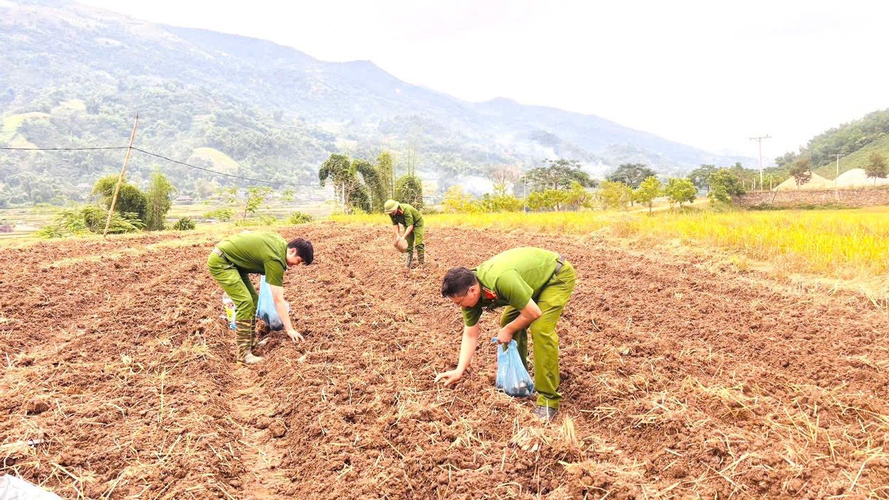 579902329 810739121792798 7046220025375815964 n