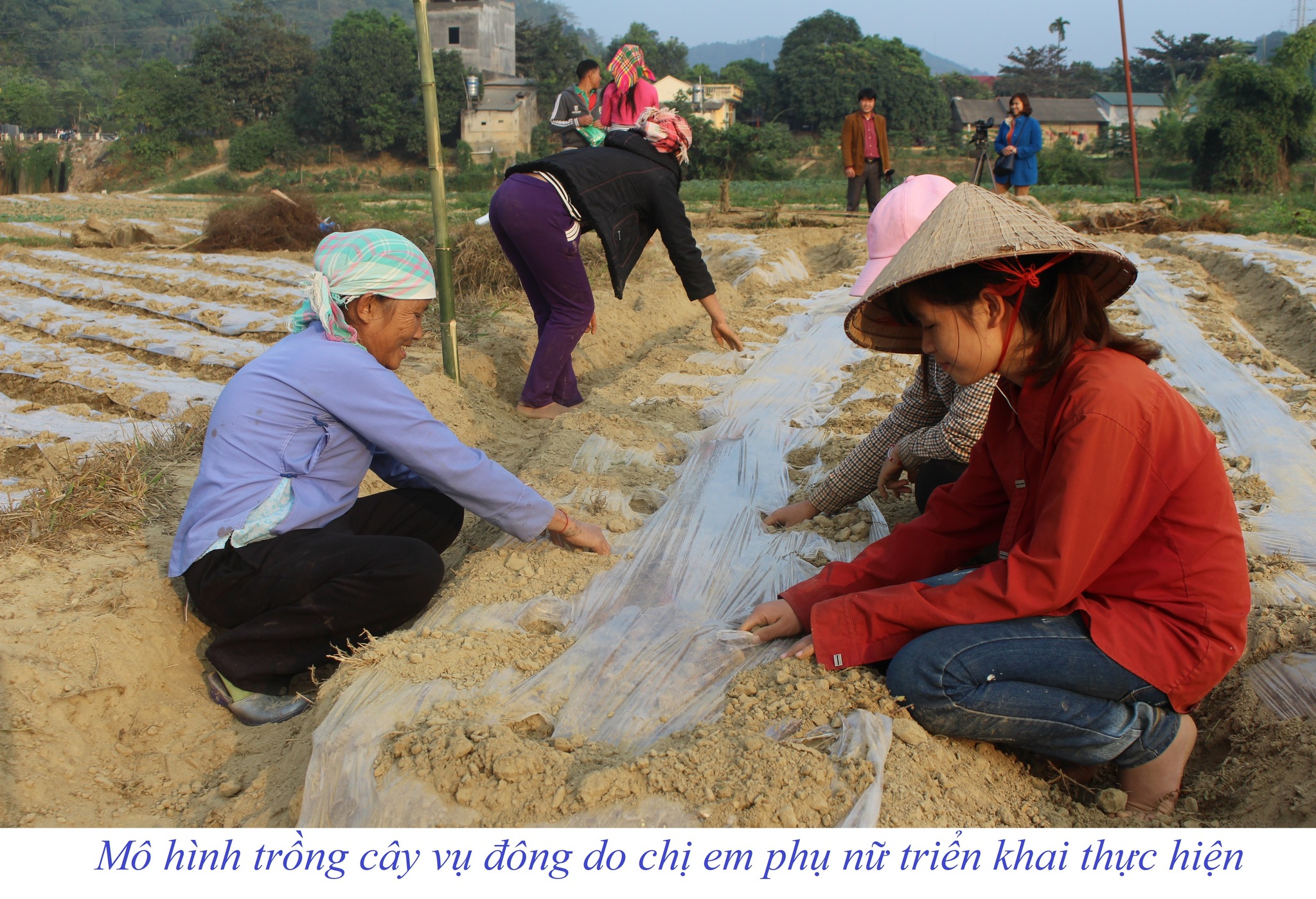 Phụ nữ Bát Xát: Từ những việc làm bình dị, kiến tạo cộng đồng hạnh phúc và phát triển 5 581691843 765228649909278 2630617063066314358 n