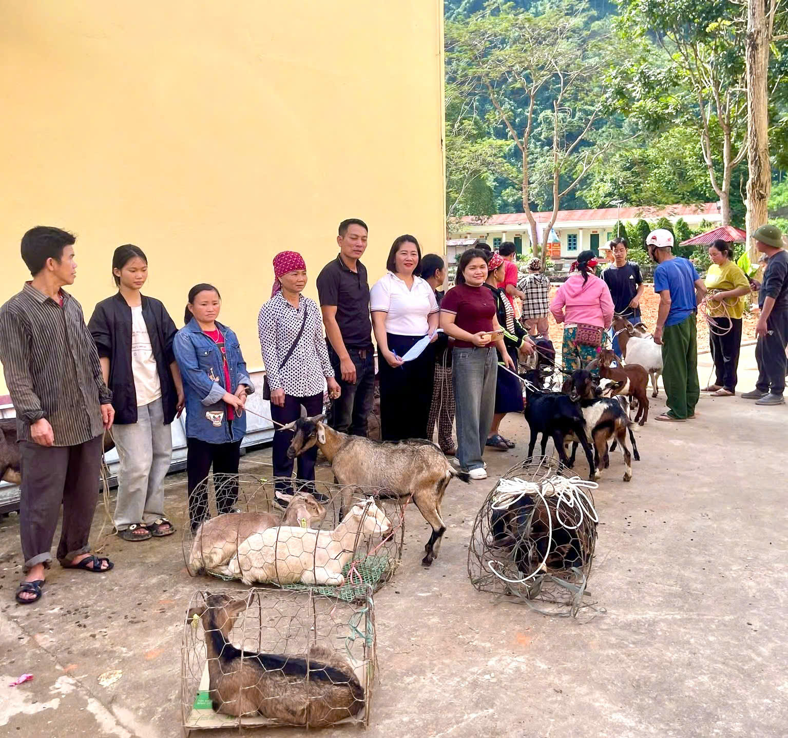 Gieo sinh kế – Gieo hy vọng: Hành trình trao yêu thương của Thiện tâm Thanh Quang tại xã Nghĩa Đô 3 581942584 1410123647786657 3692398846314068578 n 1