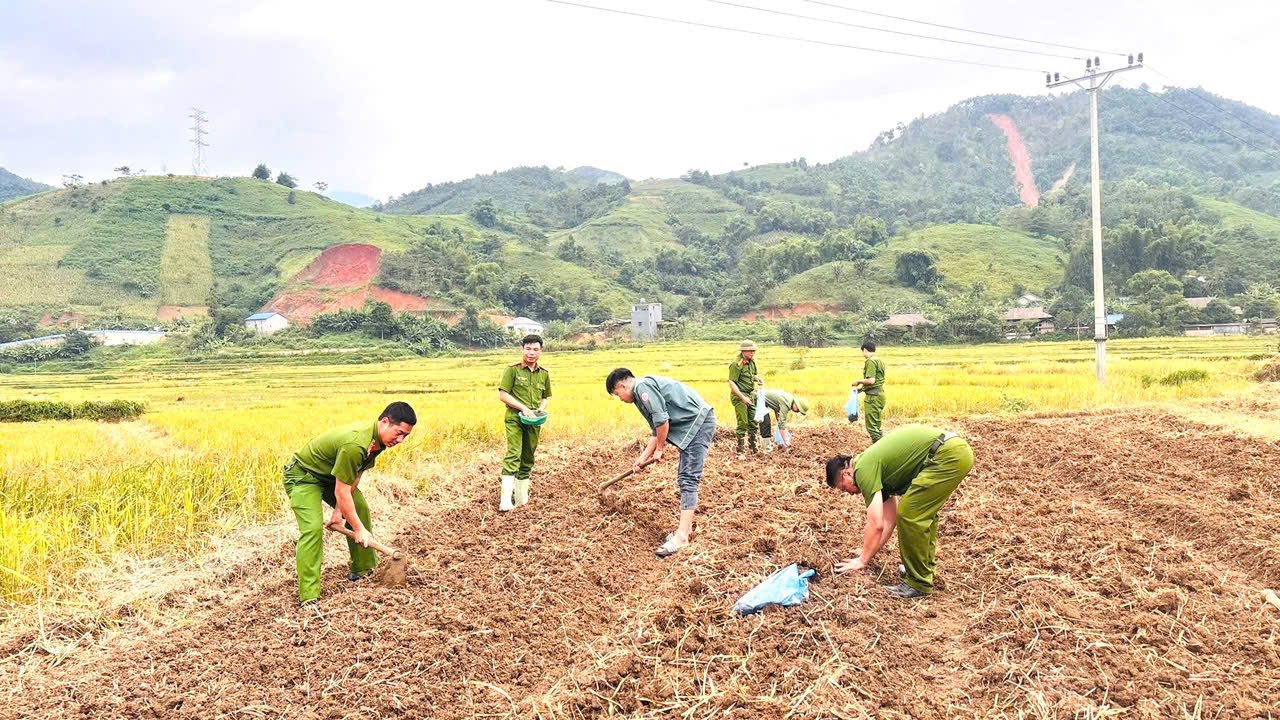 581961542 810739175126126 8887992810978408757 n