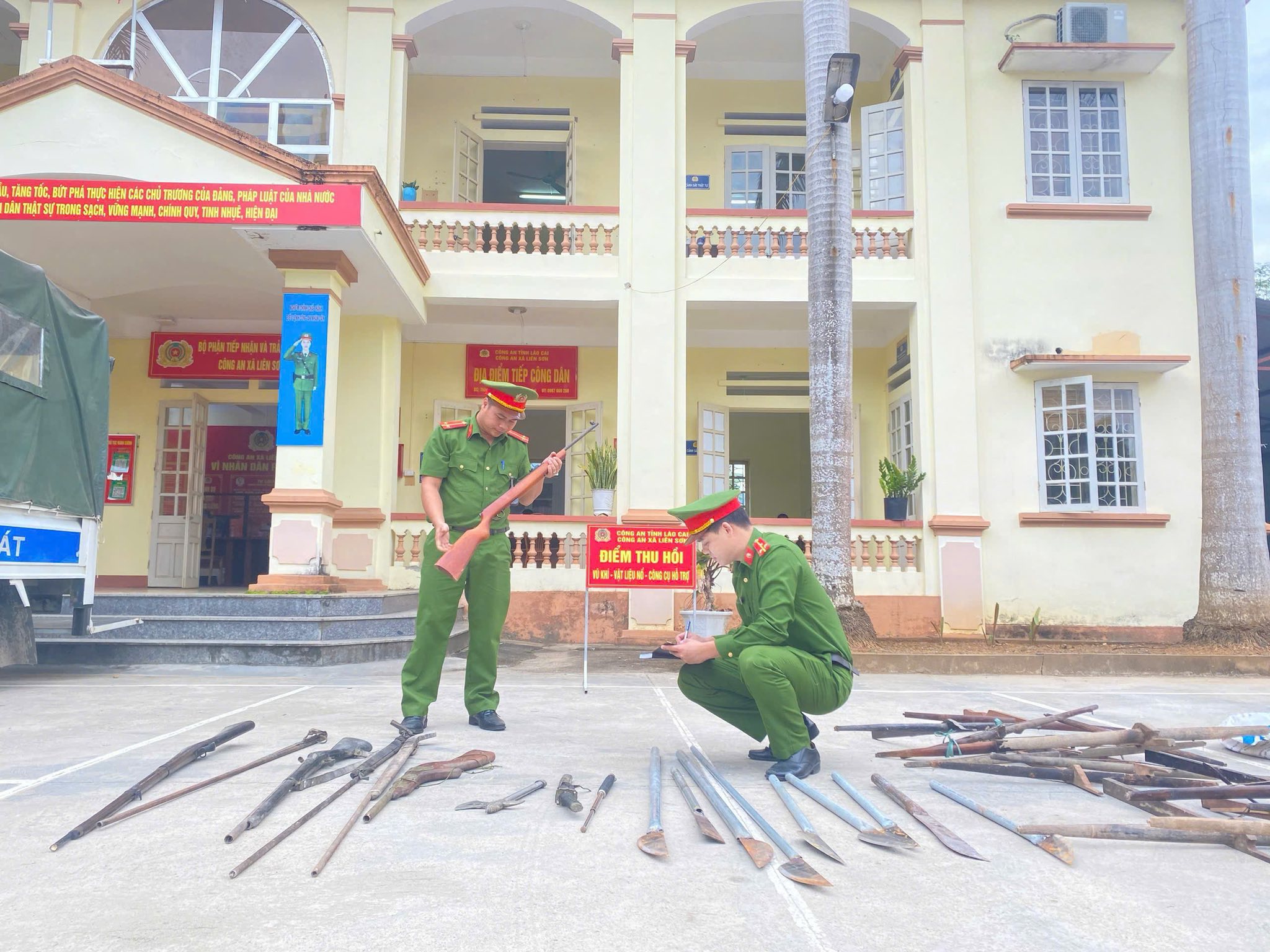 582406441 1143187991255782 130600293759504793 n