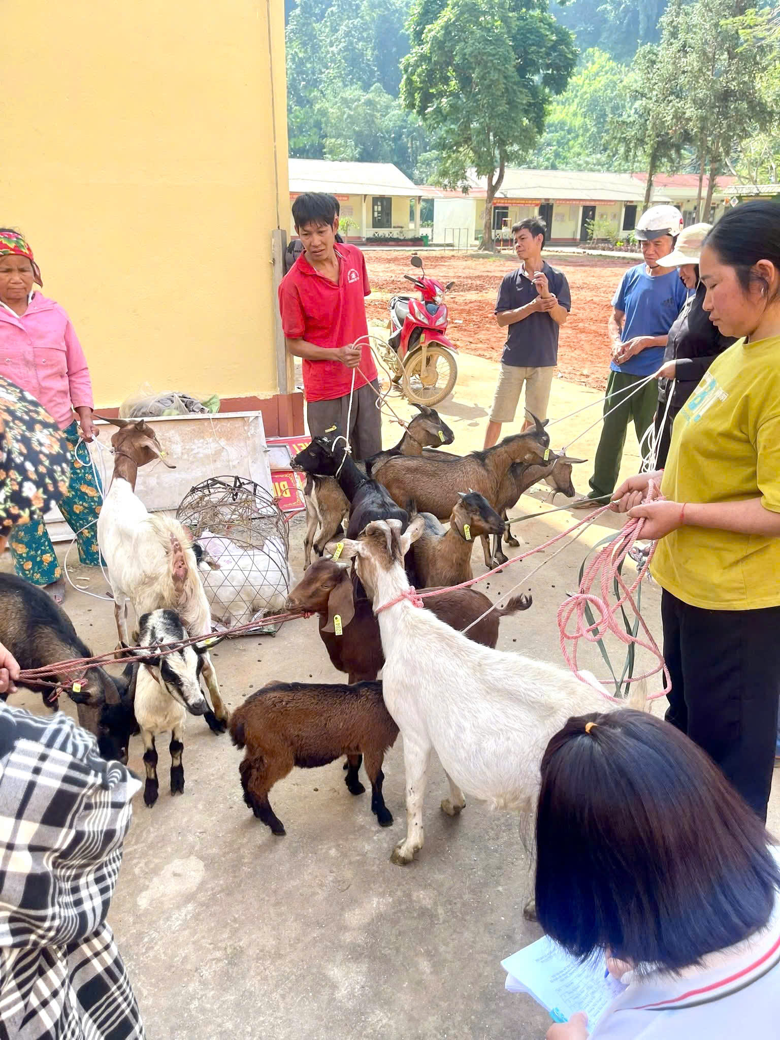 Gieo sinh kế – Gieo hy vọng: Hành trình trao yêu thương của Thiện tâm Thanh Quang tại xã Nghĩa Đô 2 582452408 1410123837786638 481617557166356245 n