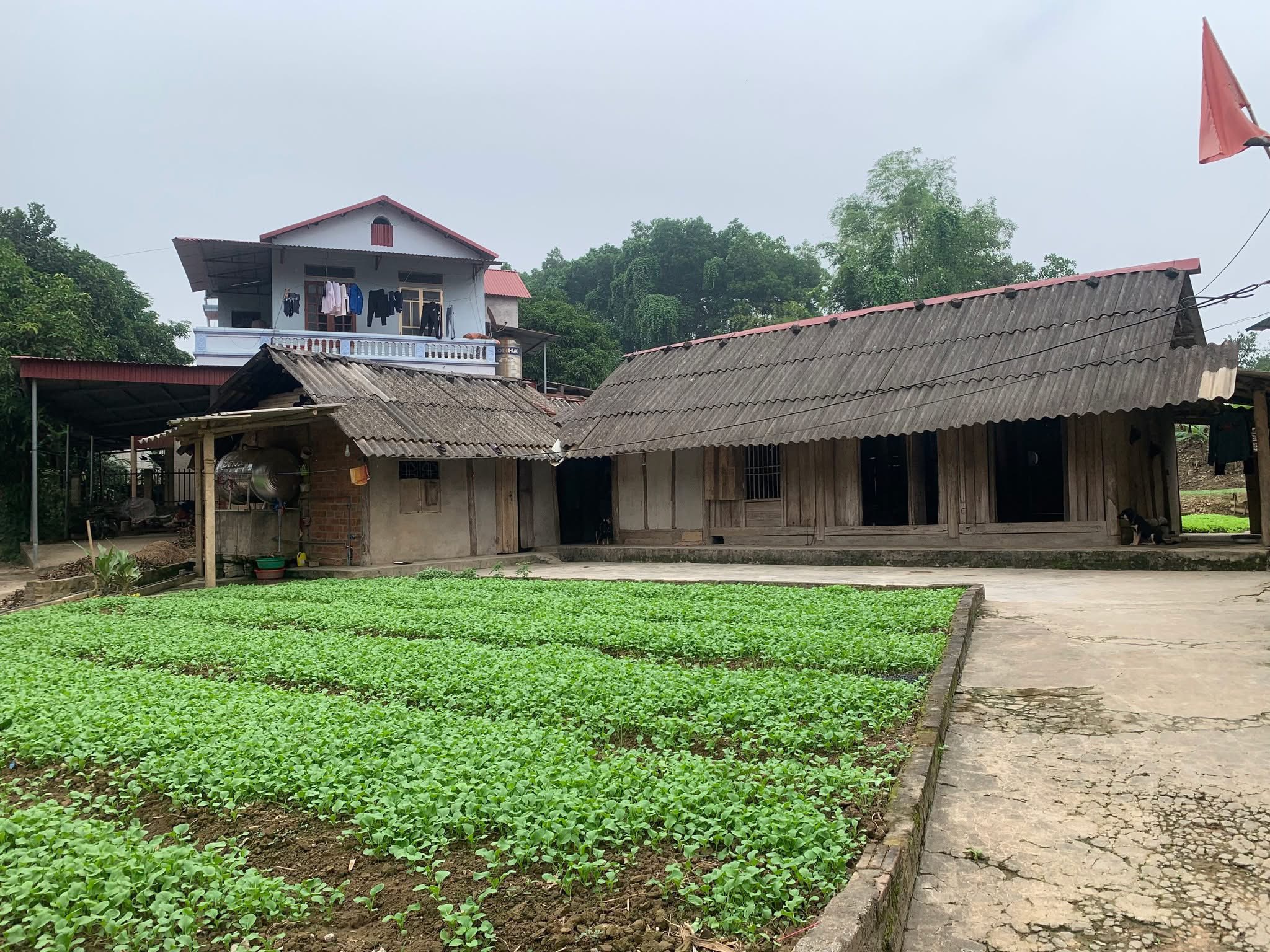 Công an phường Nam Cường tiếp tục đỡ đầu, đồng hành cùng học sinh có hoàn cảnh khó khăn 2 582532066 122146725122938562 4613131963108008272 n