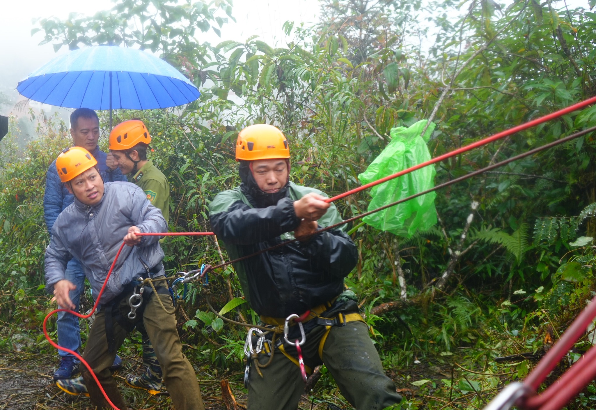 584074929 1376008831201845 3634683163824979600 n