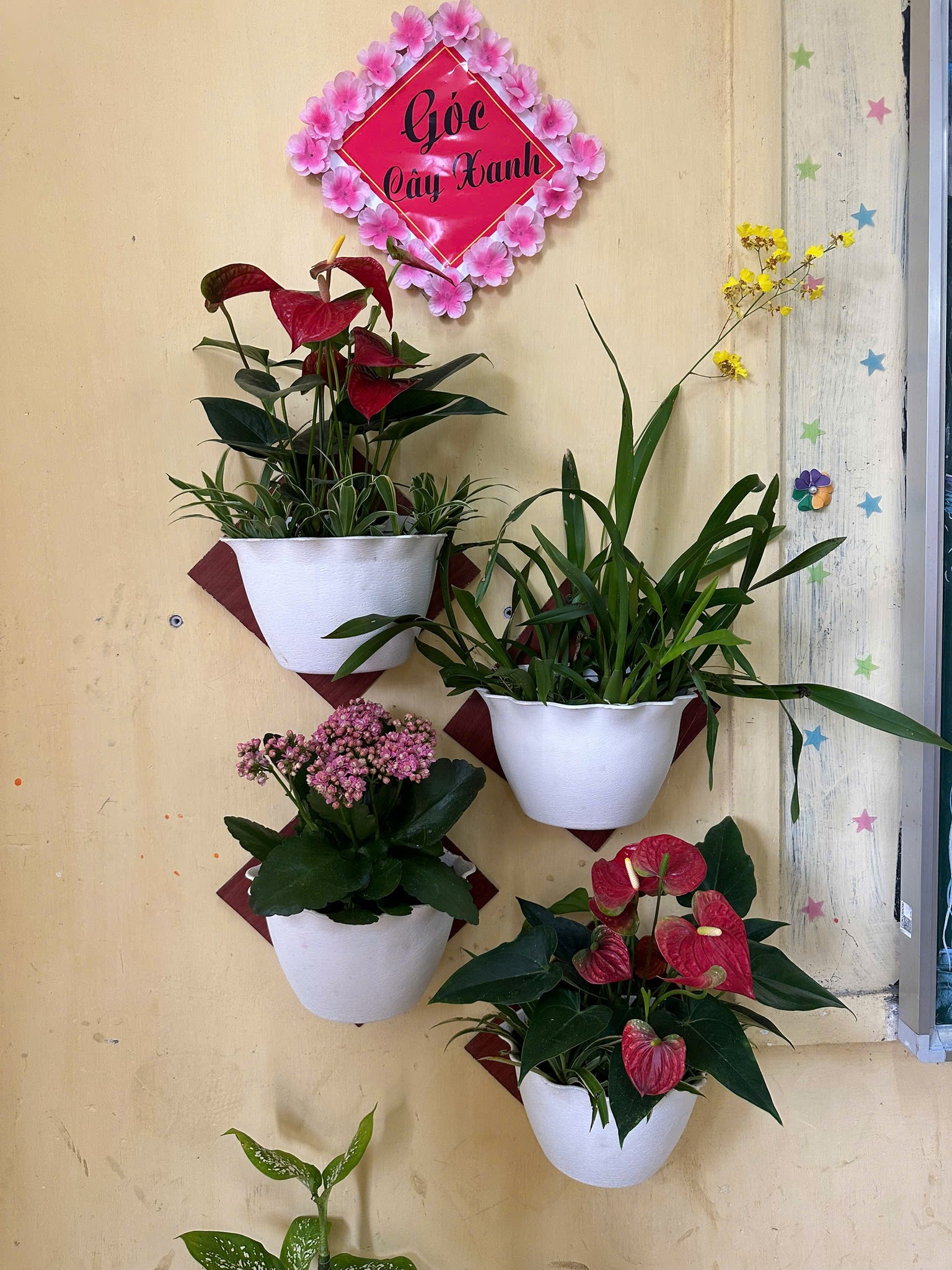 584795278 122147834828938562 612547713252636479 n