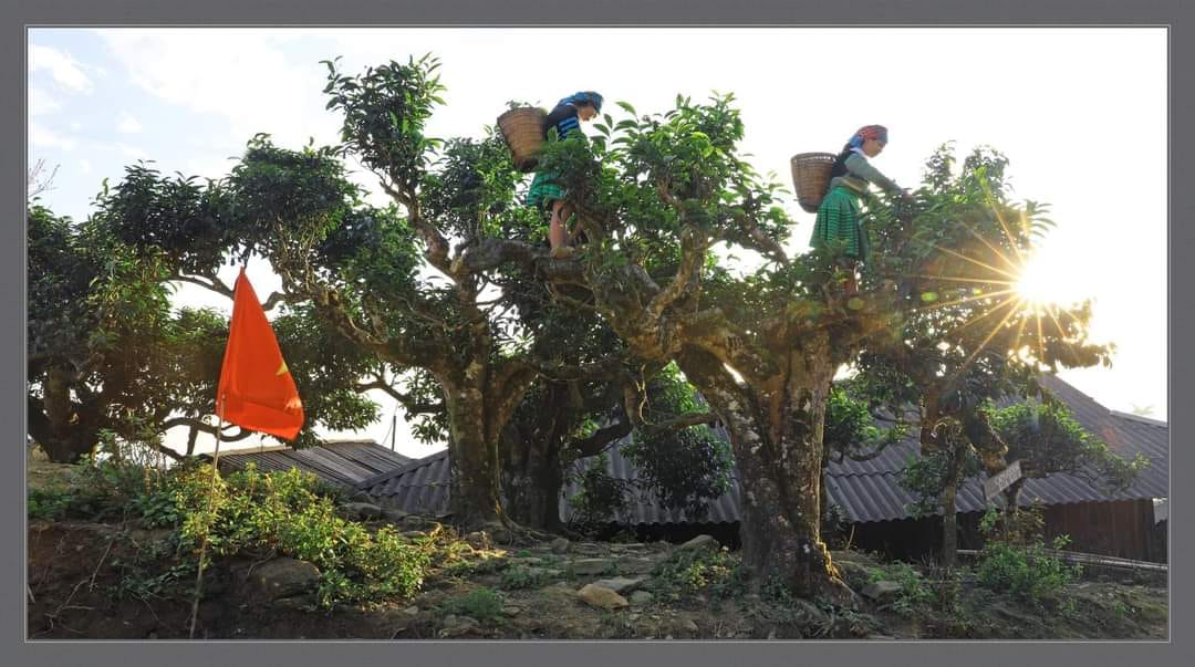 584969117 1360886429161826 4166814396099802937 n