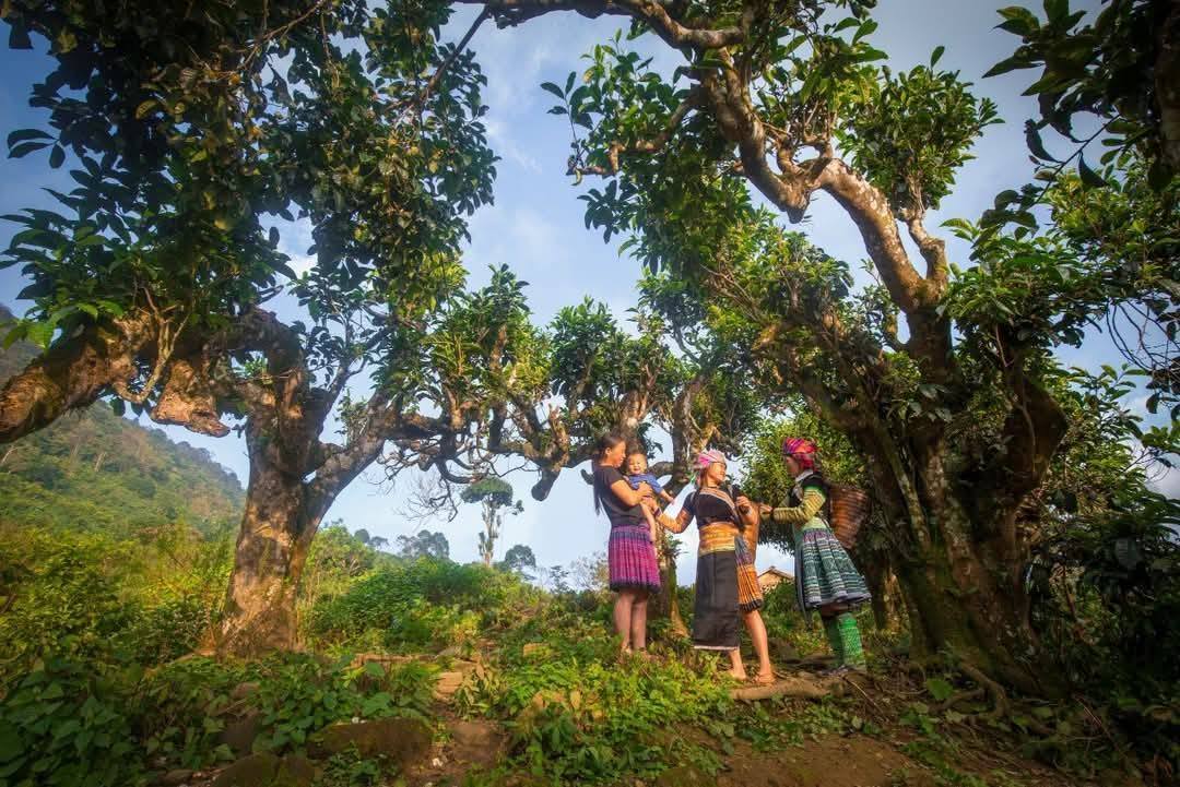 585437113 1360886512495151 1873198617095498956 n