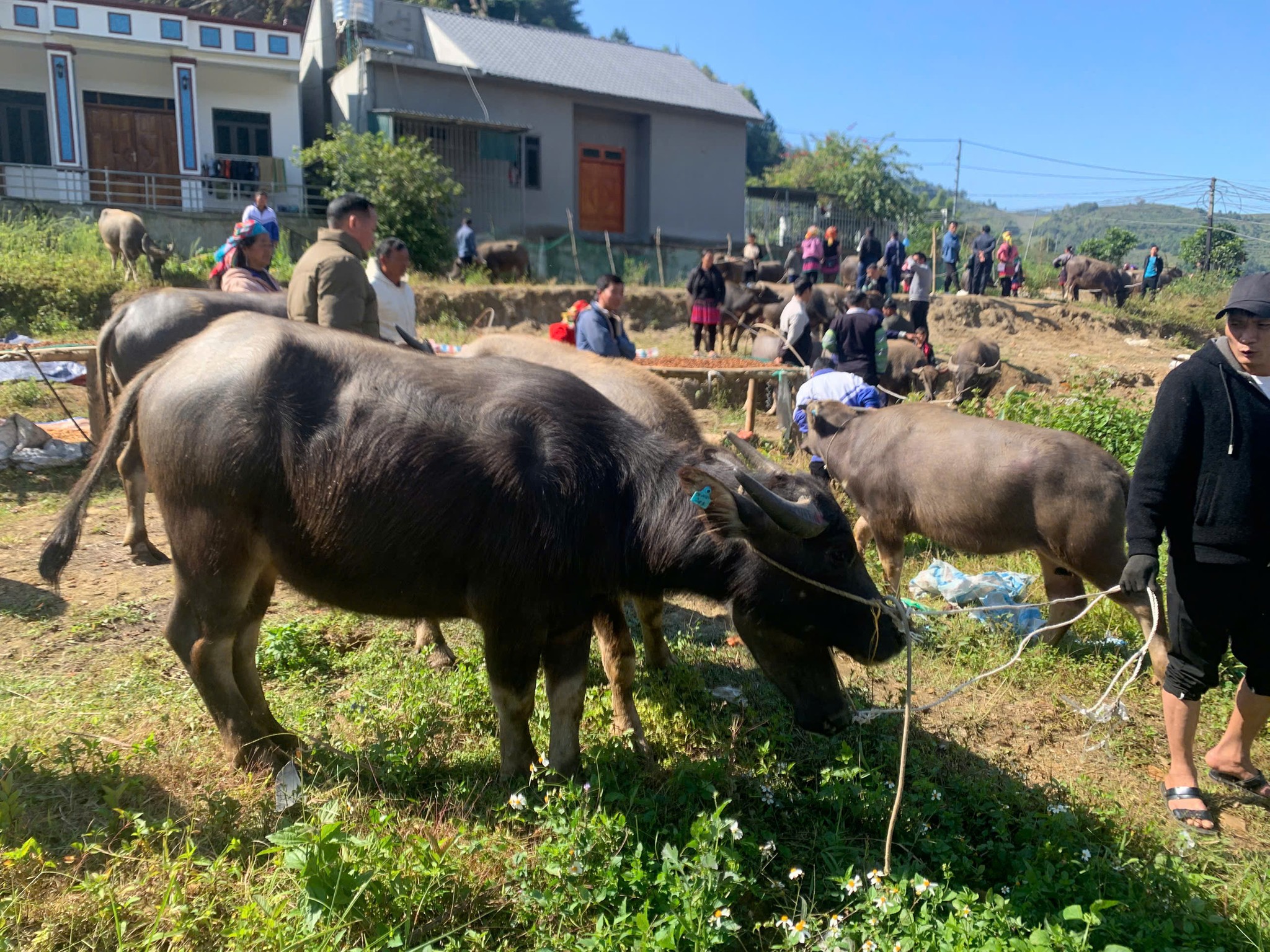 585687655 1654155932667799 1649054113365646396 n