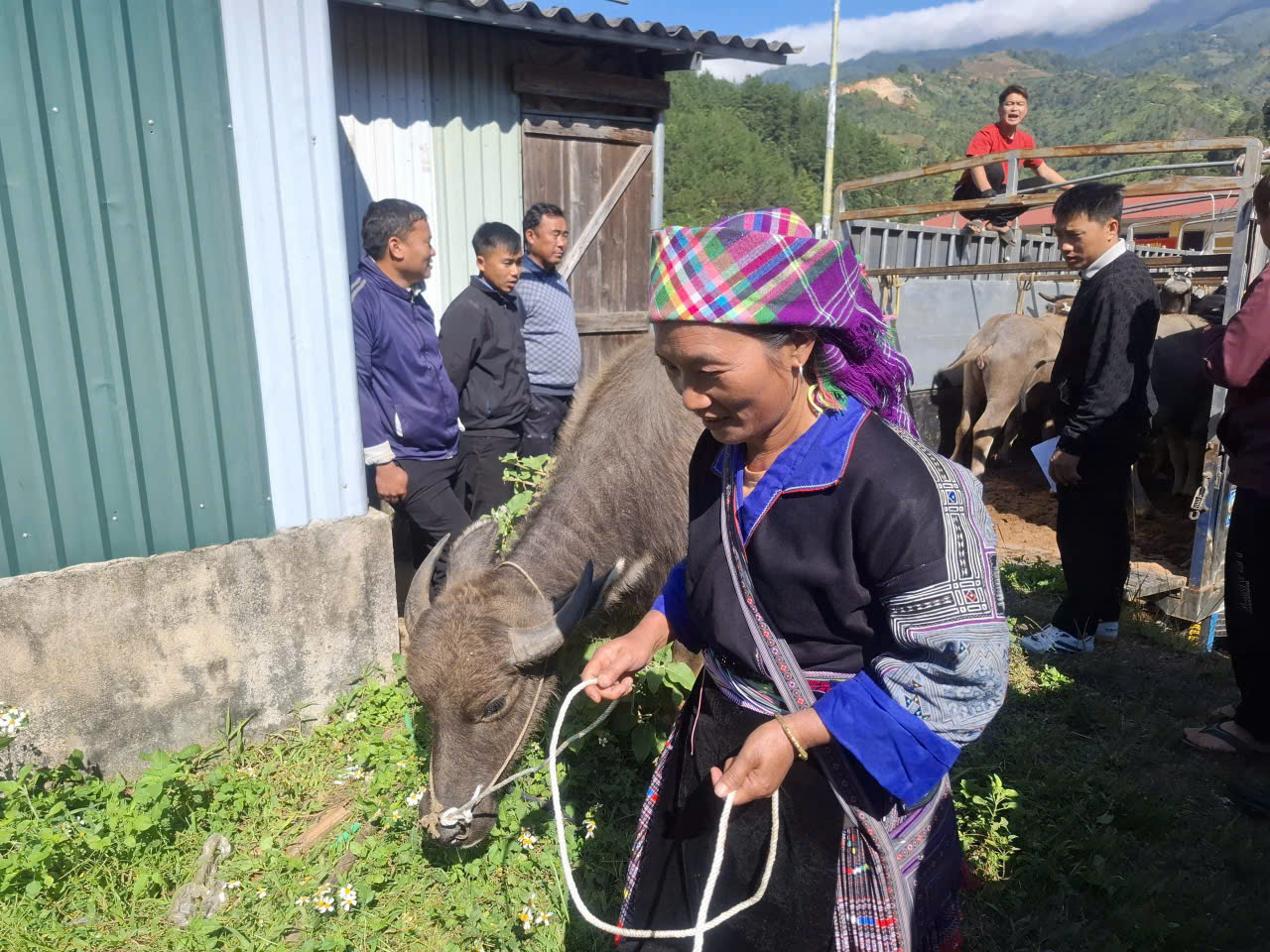 585898822 1654155839334475 556996973438677500 n