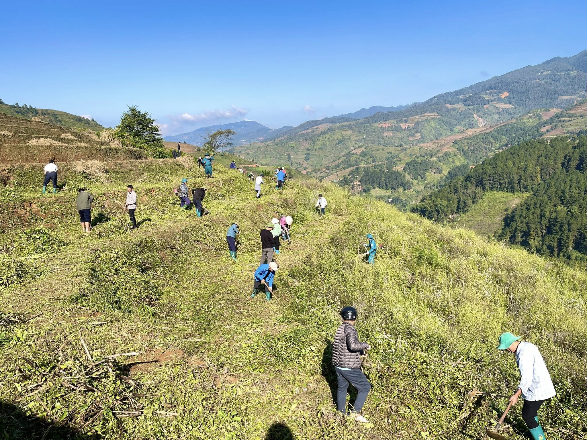 585996232 1654966149253444 7254892912782486234 n