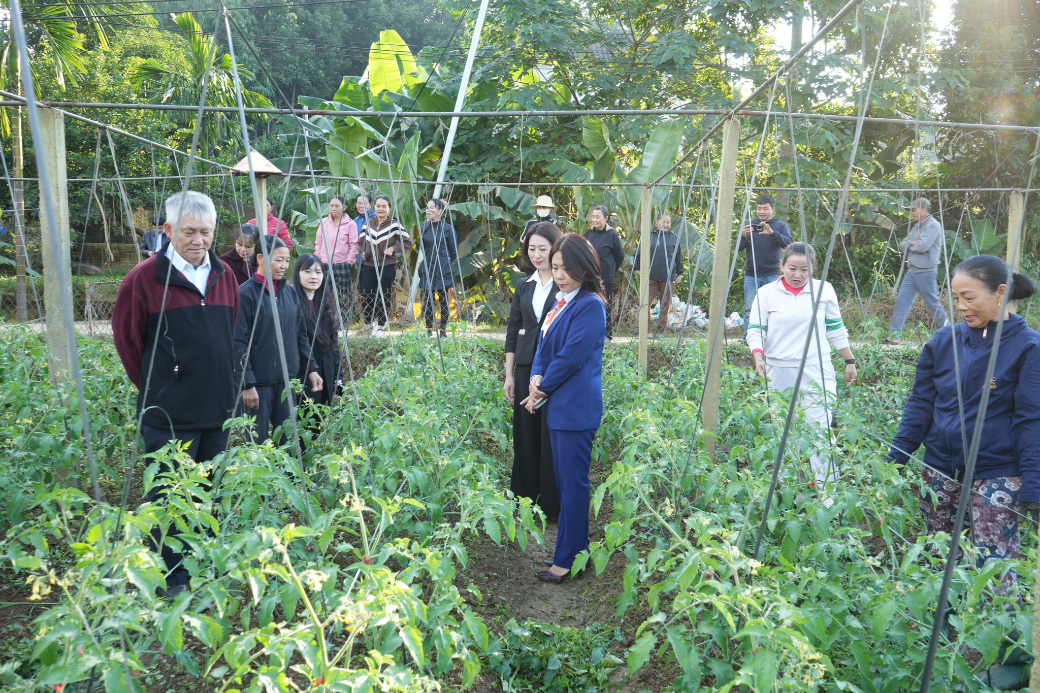 586033387 860136103219476 6641131845230981264 n