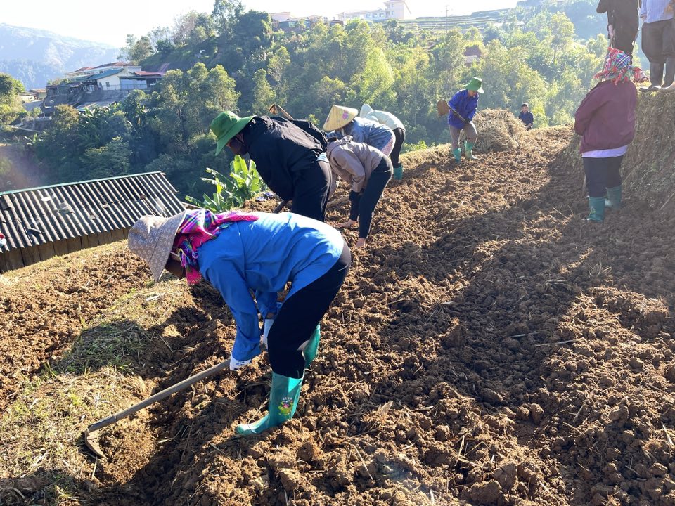 586367649 1654965312586861 5182555922533461530 n