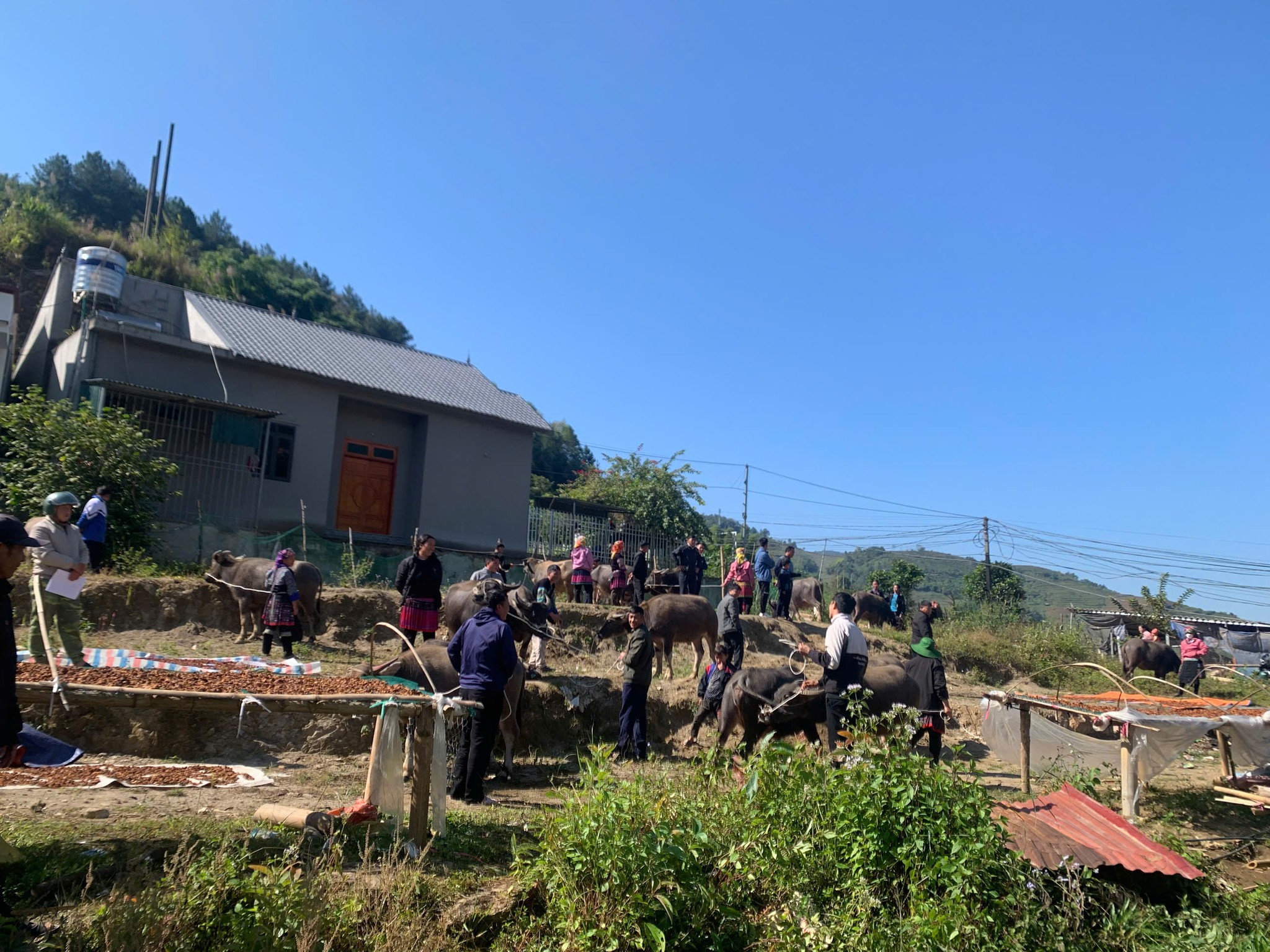 586408463 1654155906001135 4907309285036482920 n