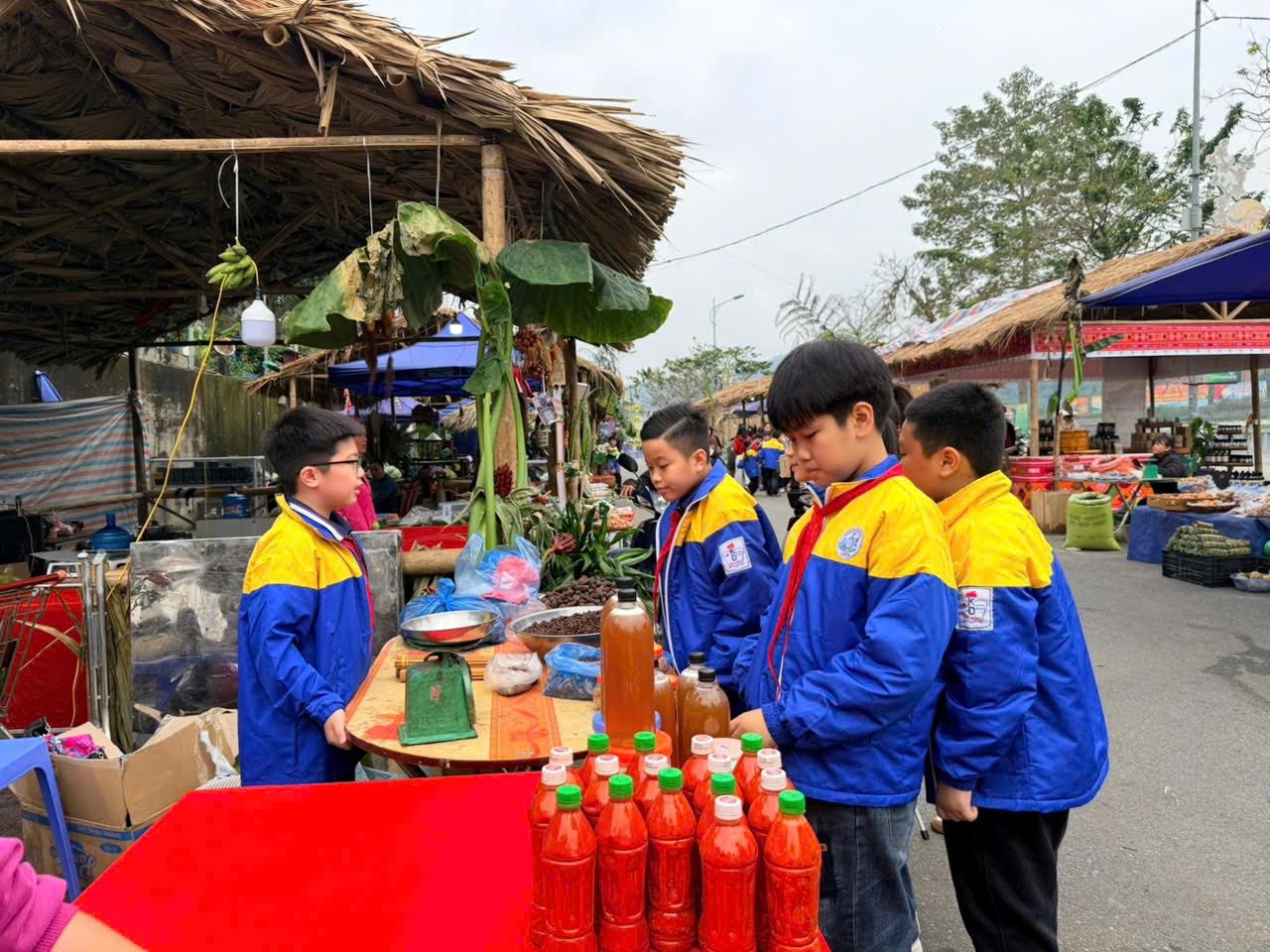 586460222 865885292614627 3404715429137800285 n