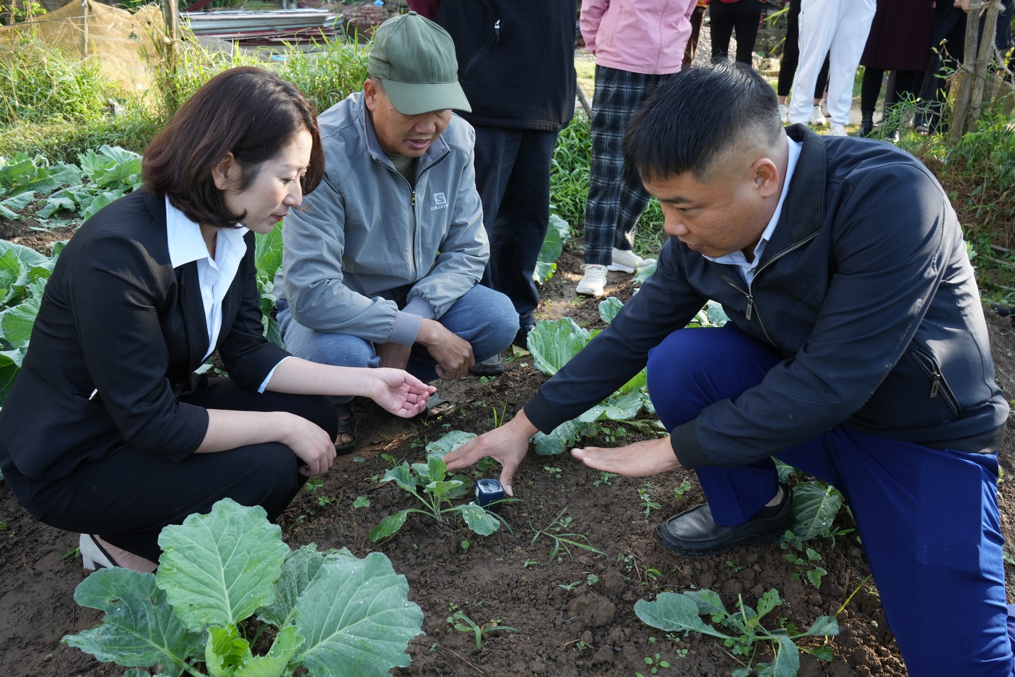 586516768 860136003219486 2586626204883108953 n